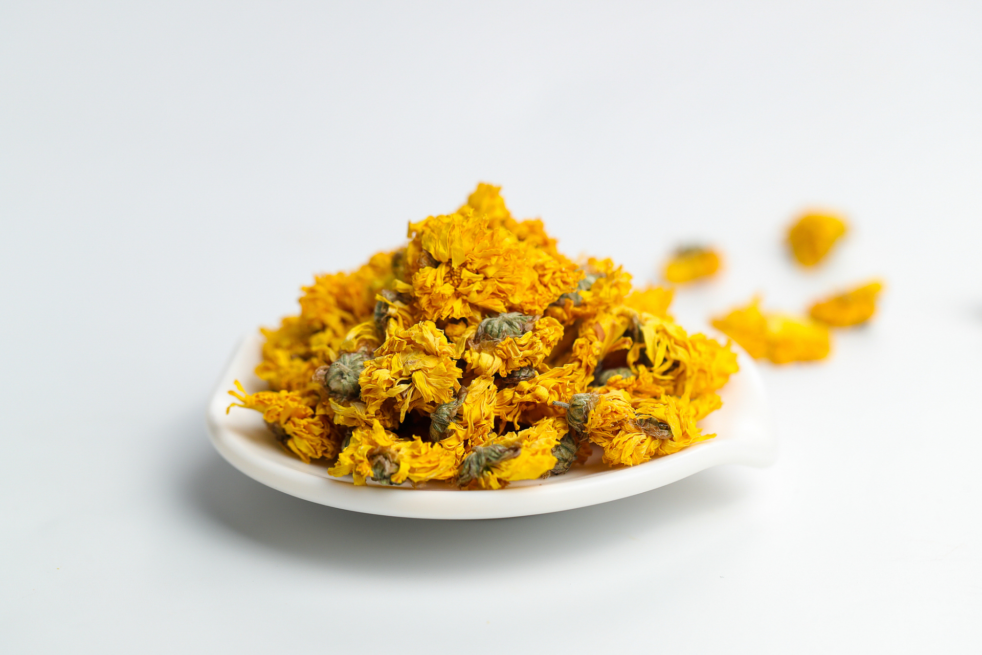 中药菊花与川芎治疗肝肾阴虚兼血瘀(高血压),育阴清热,活血补肾【仅供