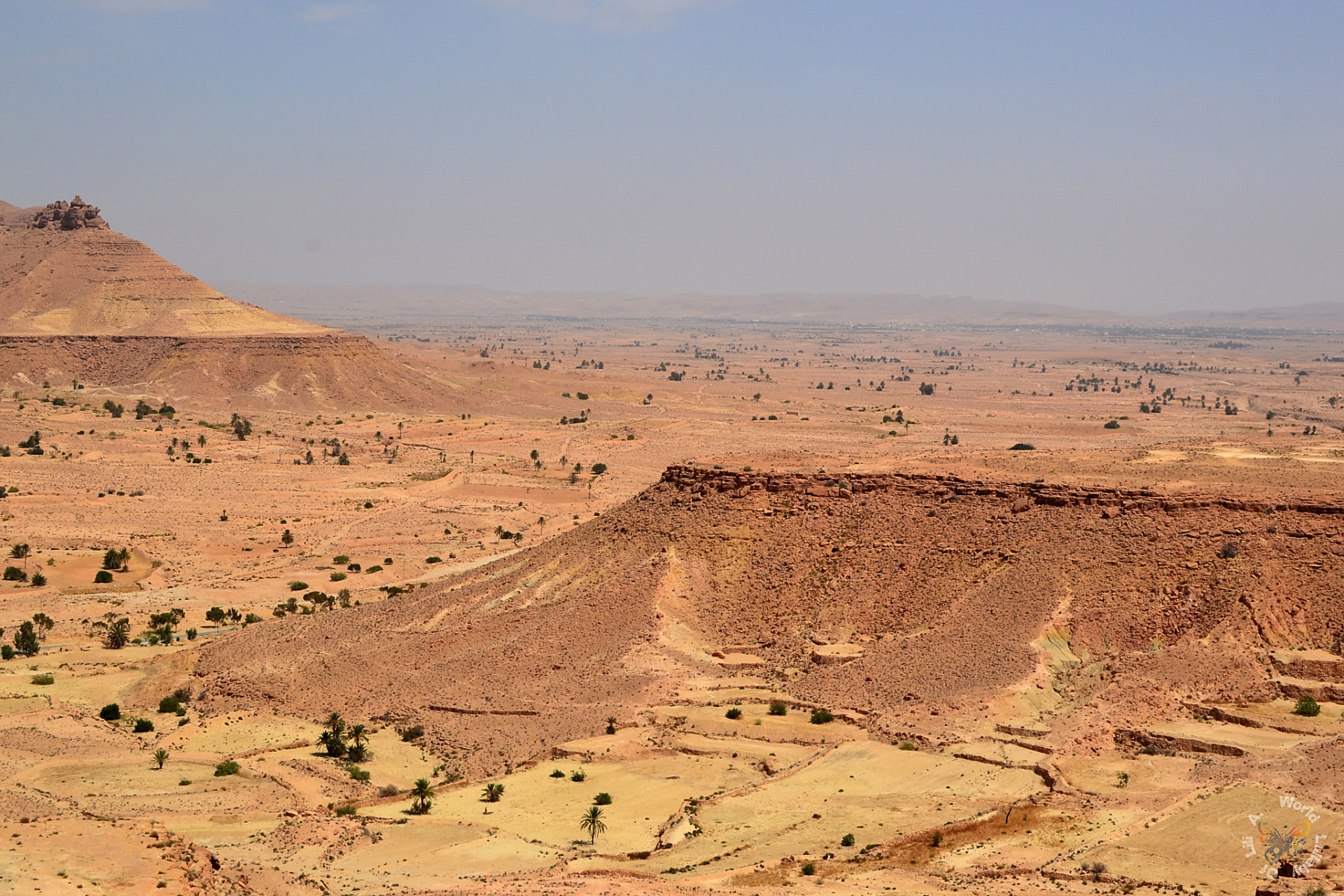 这是在以色列沙漠农场里种的西瓜,以色列人用有限的水资源和一片狭小