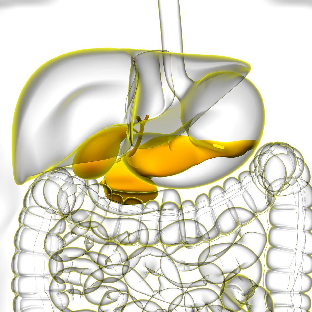实际上,一般这种情况不需要特别的紧张,这种胆囊壁的毛糙往往可能是