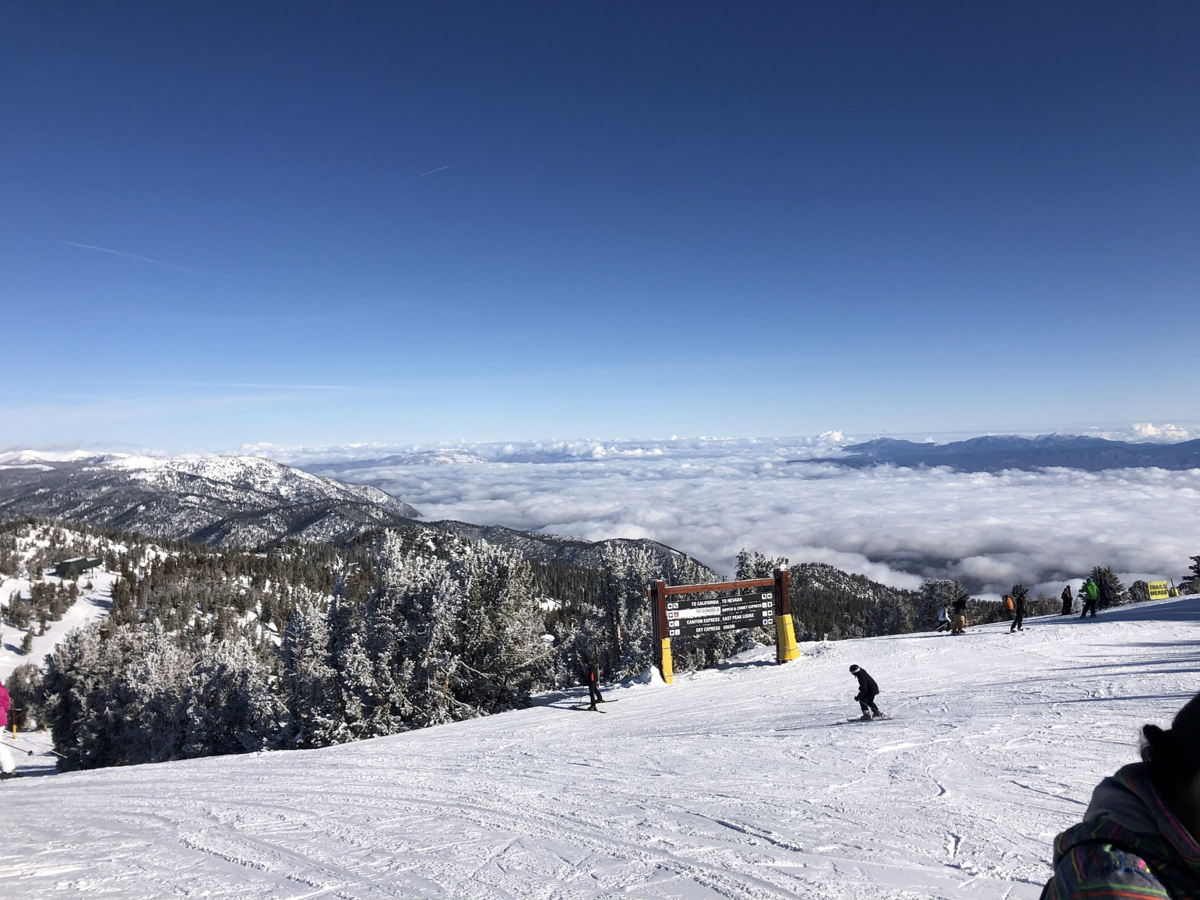 仲夏消暑季#四川的避暑胜地首选——西岭雪山!