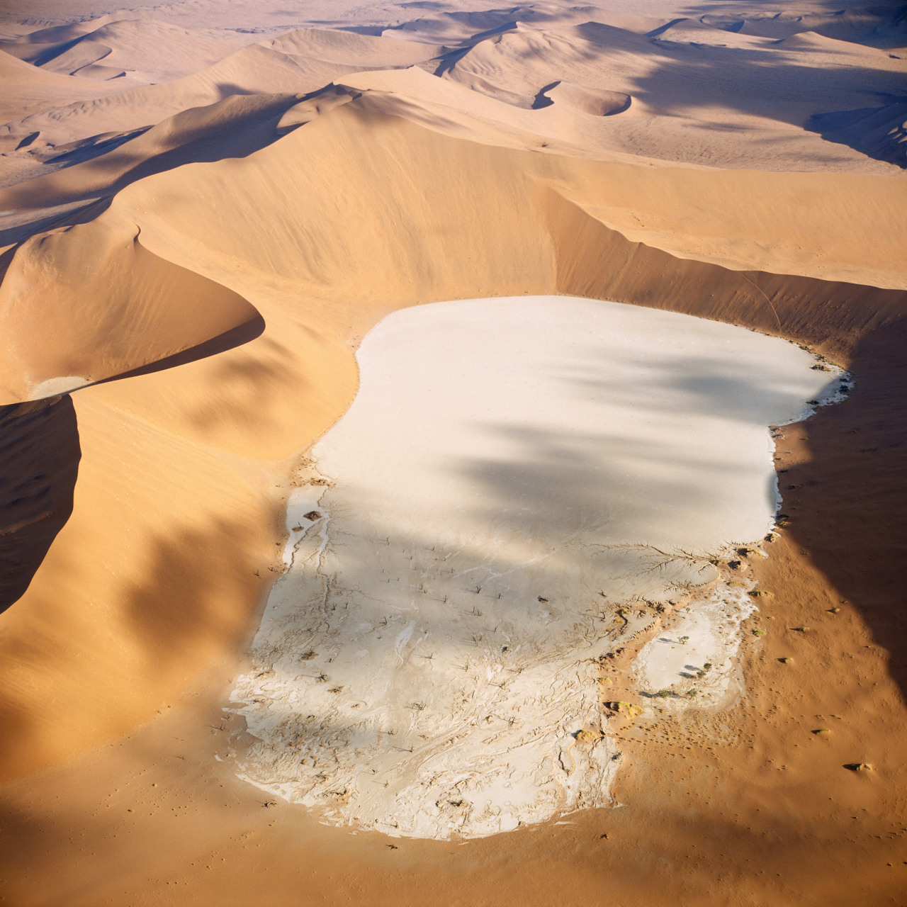 在这片炎热而干旱的环境中,自然力量创造出了许多令人叹为观止的景观