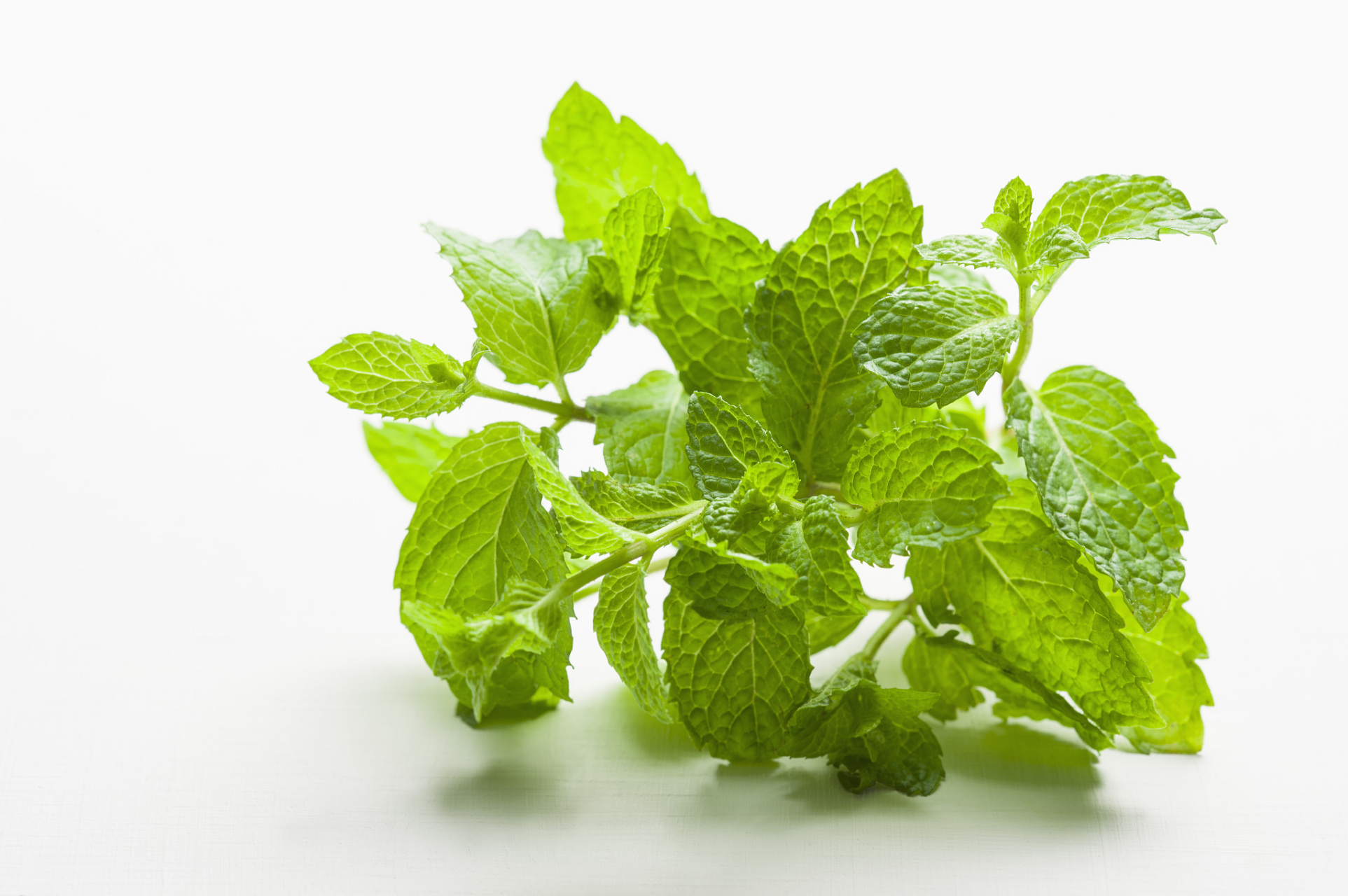 薄荷的十种食用方法包括:薄荷茶,薄荷冰沙,薄荷蛋糕,薄荷烤鸡翅,薄荷