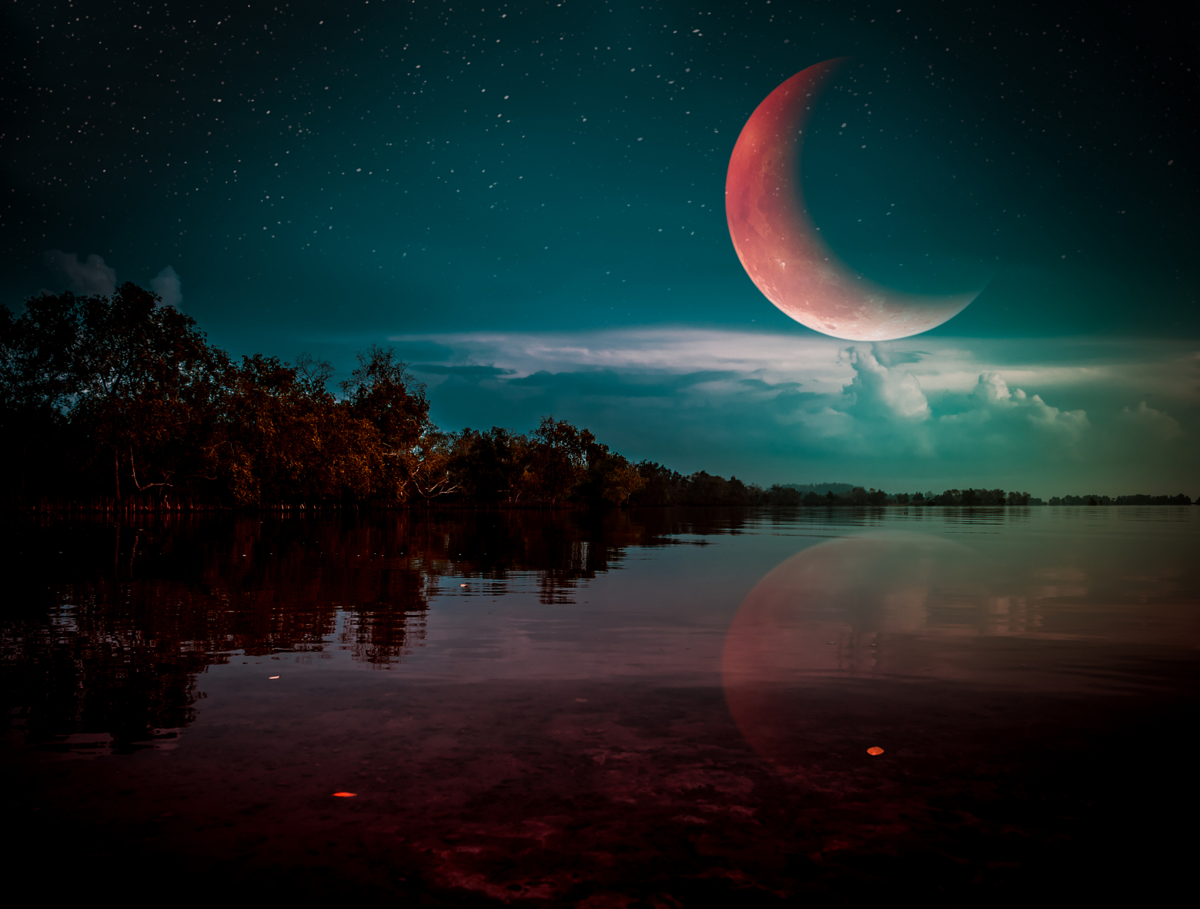 寂静夜晚,心灵独白.梦境中探寻深处的向往与呼唤!