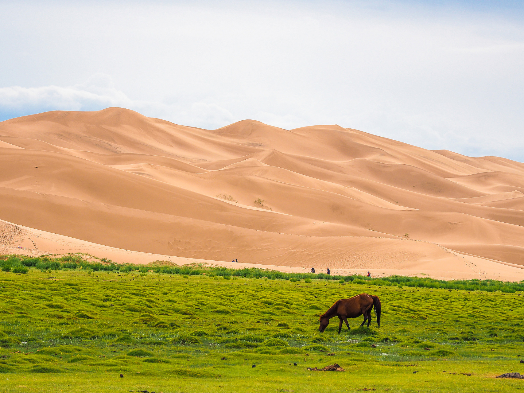 在这个浪漫夜晚的木垒鸣沙山上,您可以尽情享受各种娱乐和美食.
