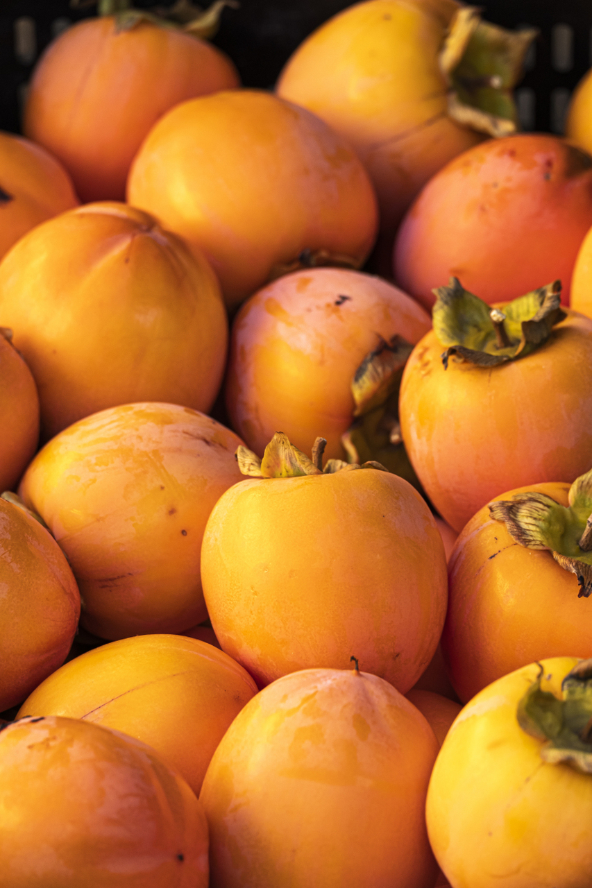 水果法加入苹果或香蕉皮,密封后放置温暖干燥处;大米法将柿子埋入大米