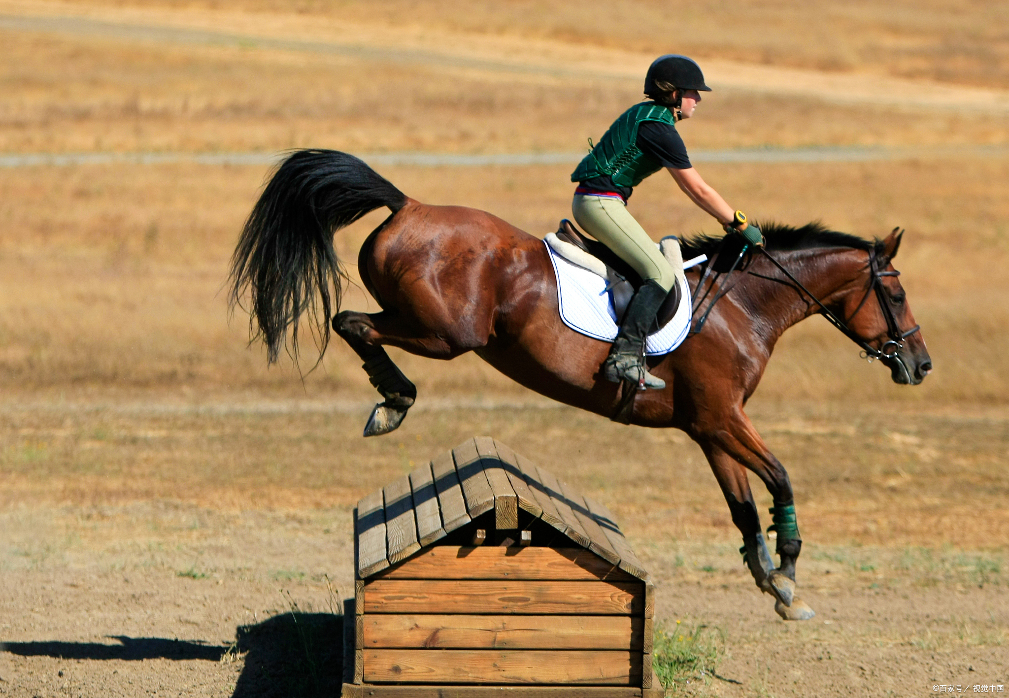 胜在于数,不在于欲