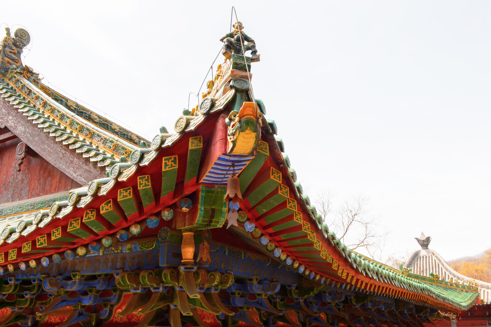 少林寺注重武术和僧侣修行,以男性为主,对女性弟子的开放程度可能较低