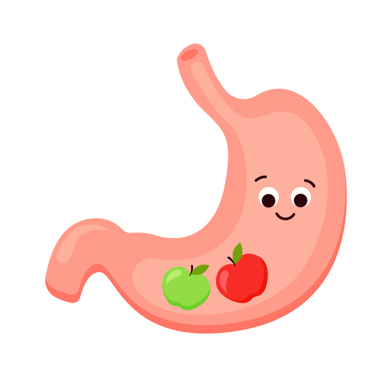 患者胃里的内容物异常反流到食道的位置上,轻者反酸