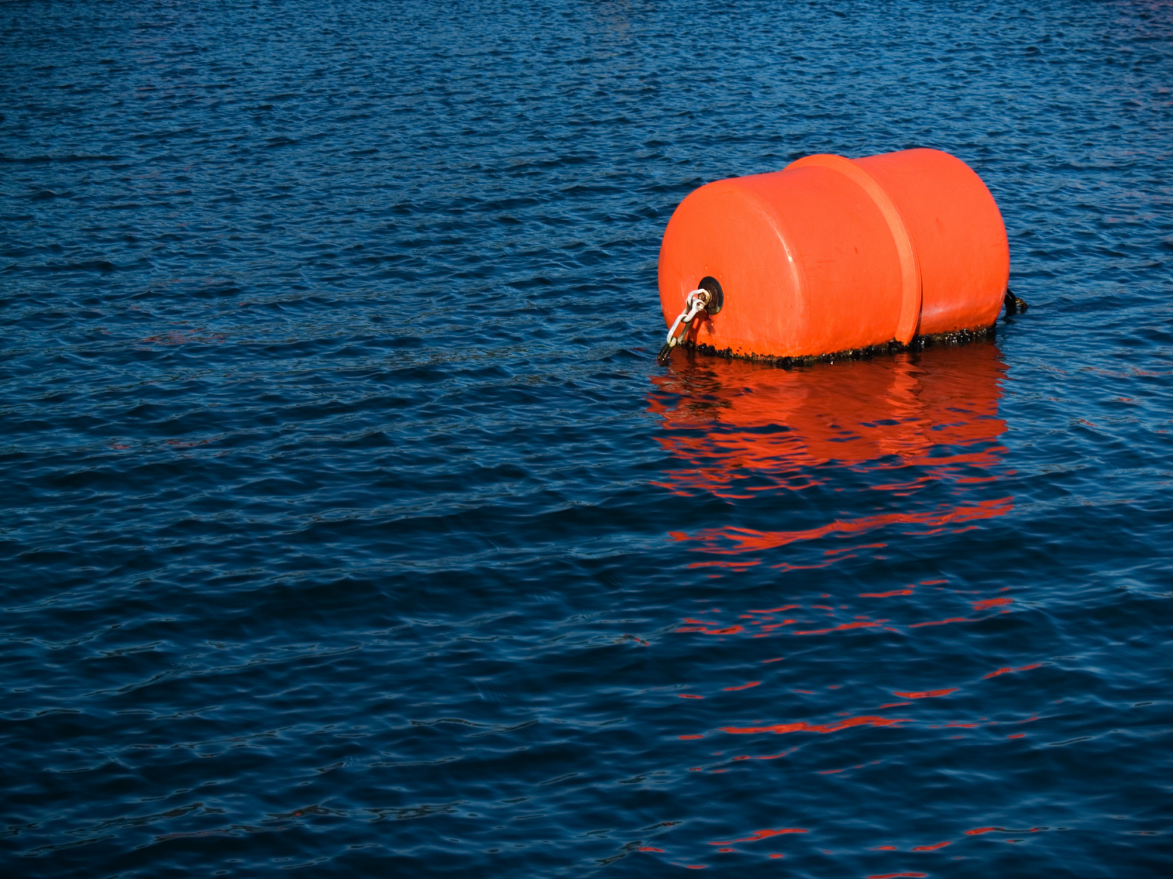 当物体浸在液体或气体中时会受到一个竖直向上的托力,这个力就是浮力