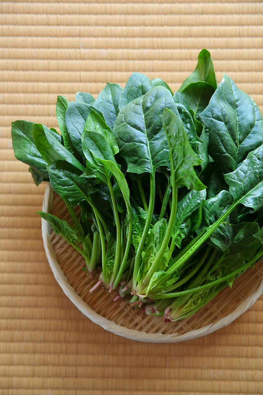 菠菜,那一抹鲜嫩的绿色,总是能在餐桌上带来一丝清新的气息