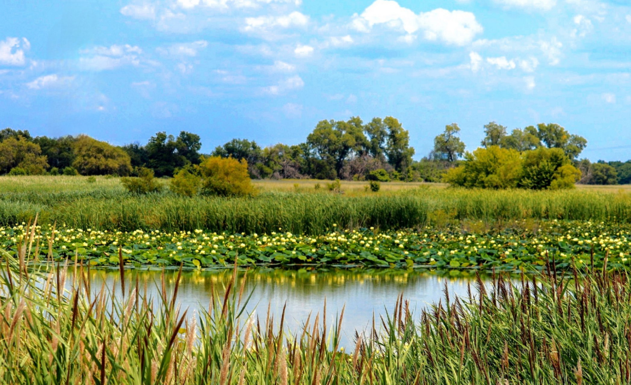哈巴湖生态旅游区,宁夏沙漠明珠,原生态自然景观,丰富生物资源,深厚