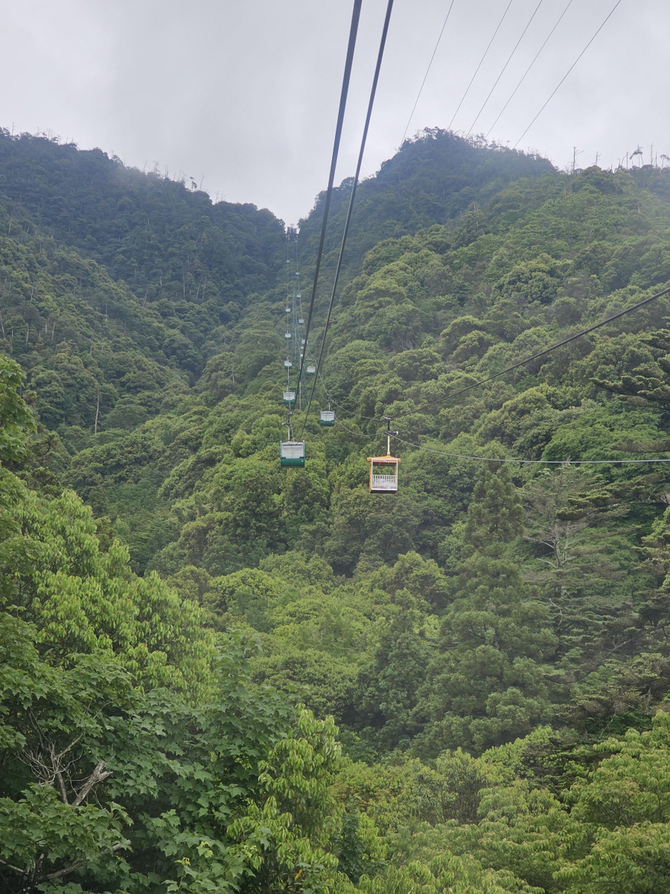 岳麓山缆车在哪图片