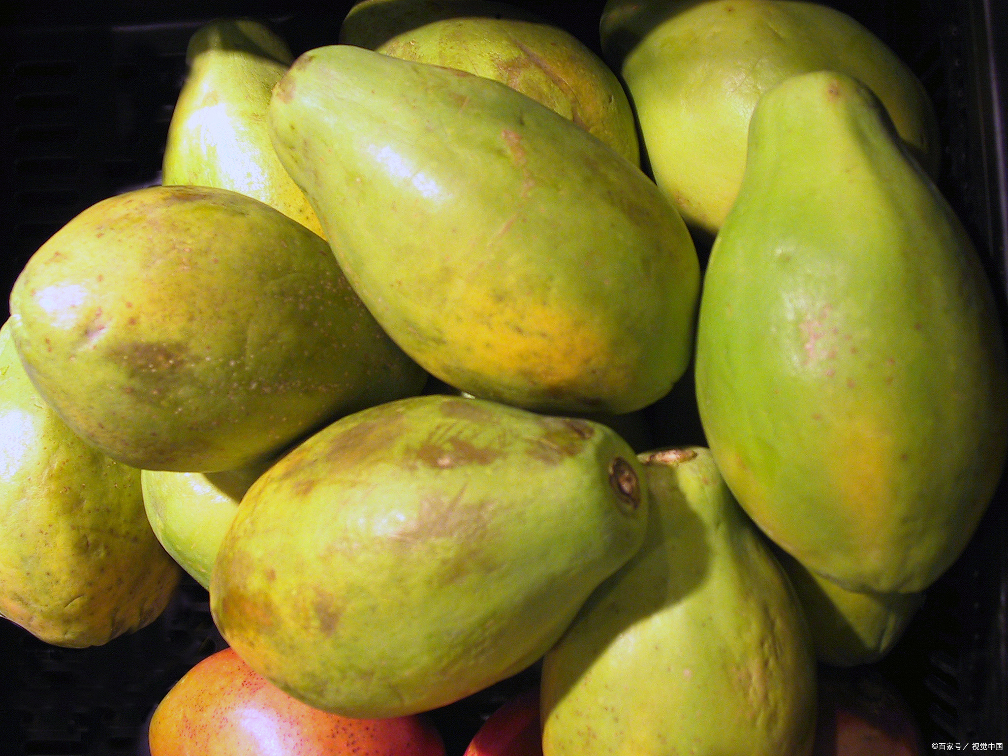 木瓜小孩子能吃吗