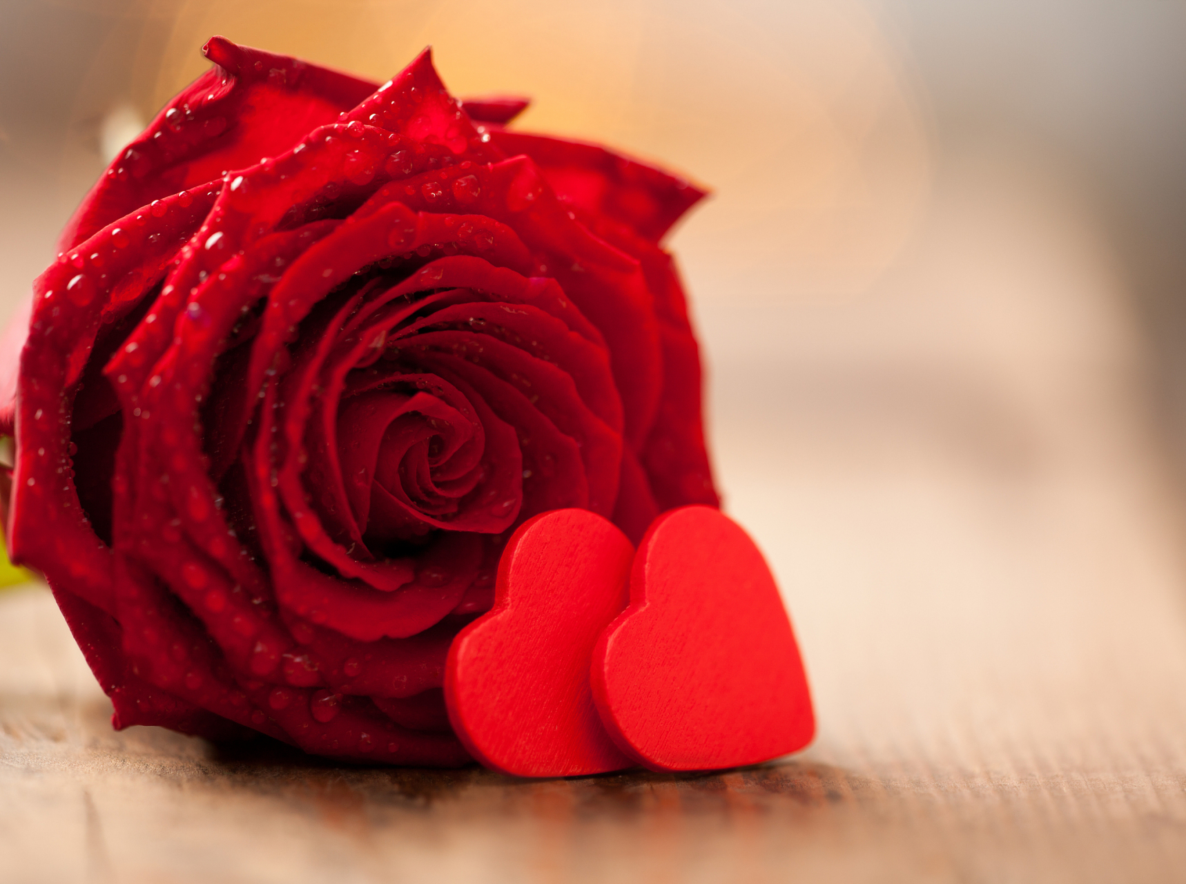 爱情最美的样子就是,你在我左右,我在你胸口.