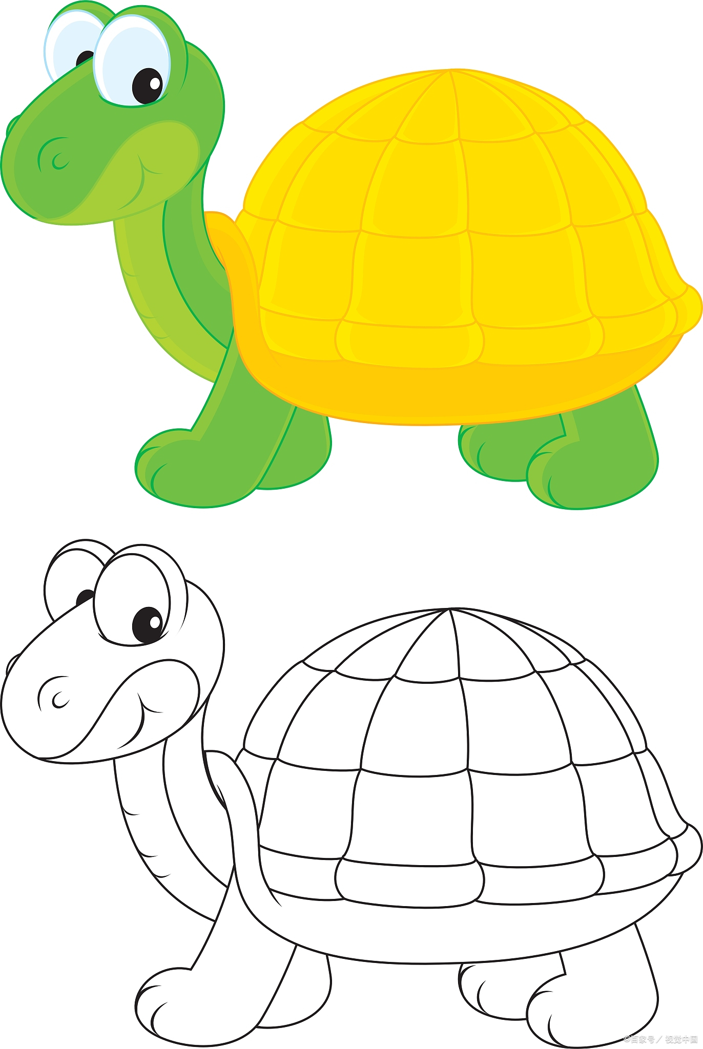 小乌龟怎么画?5个步骤让孩子边玩边学,并在绘画中融入教育元素
