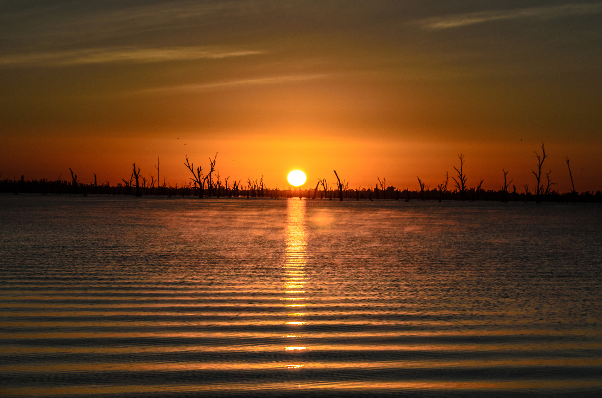 93 清晨的阳澄湖,湖面波光粼粼,如诗如画.