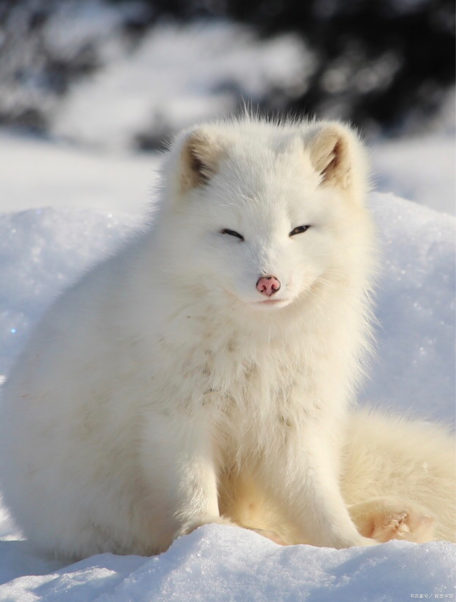 出马仙故事之堂单上的名字越多越好吗