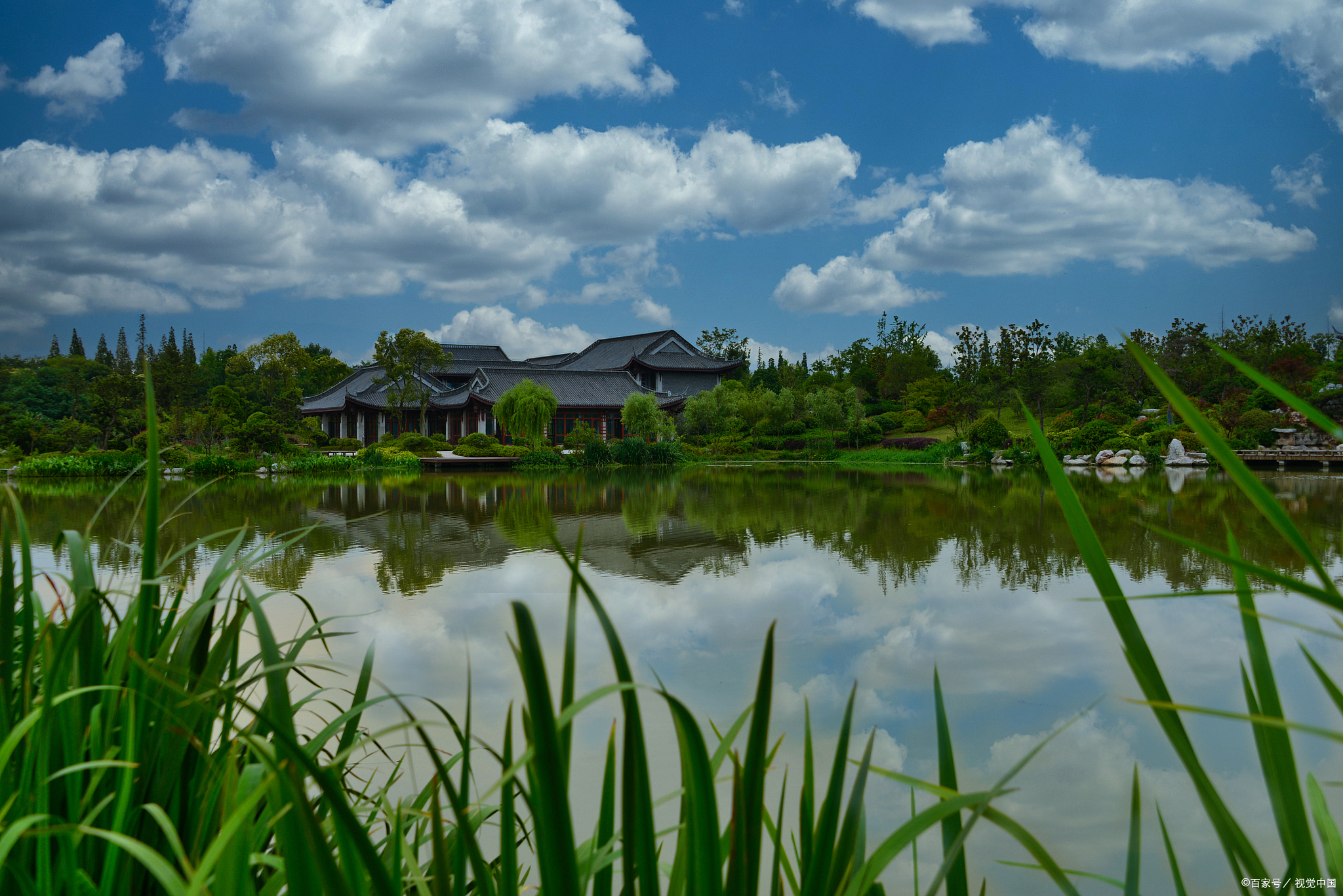 广州南沙湿地公园:探秘红树林,乘船观鸟与品味自然野趣的一日游 在