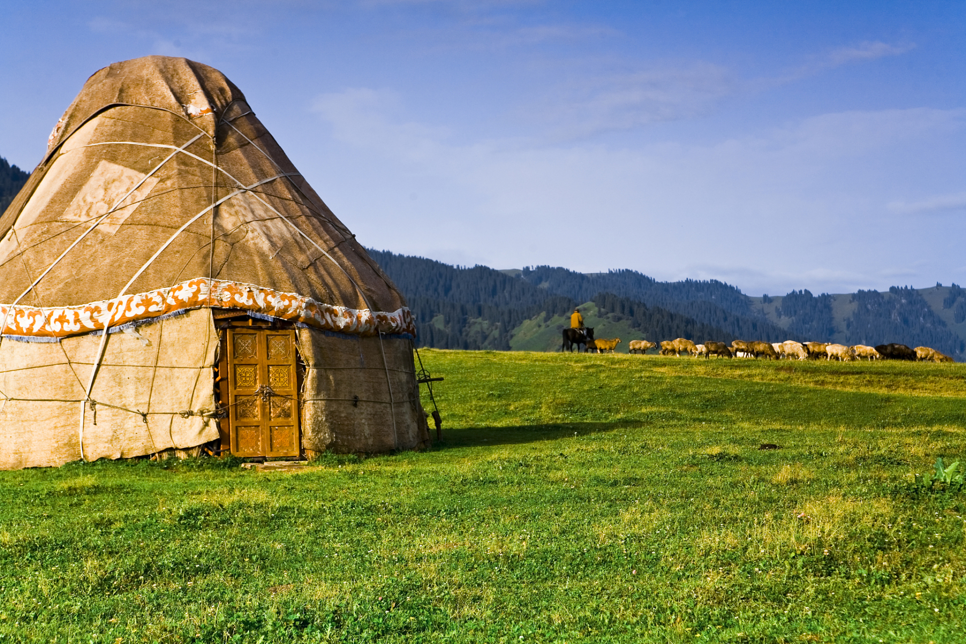 奇遇那拉提#那拉提草原位于新疆维吾尔自治区伊犁哈萨克自治州那捞後