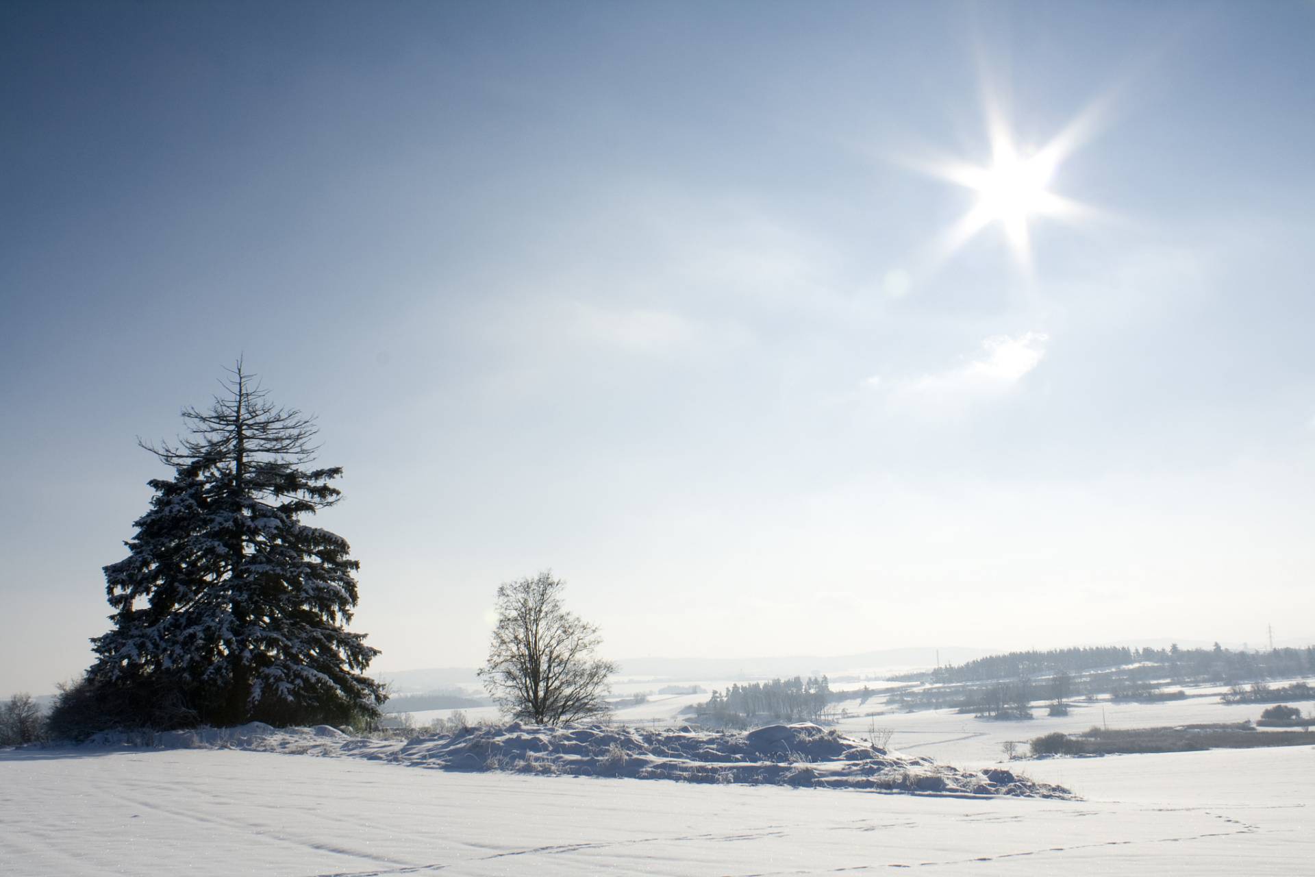 随手拍的冬季封神照片#  在银装素裹的冬季,大雪纷飞,天地间白茫茫一 