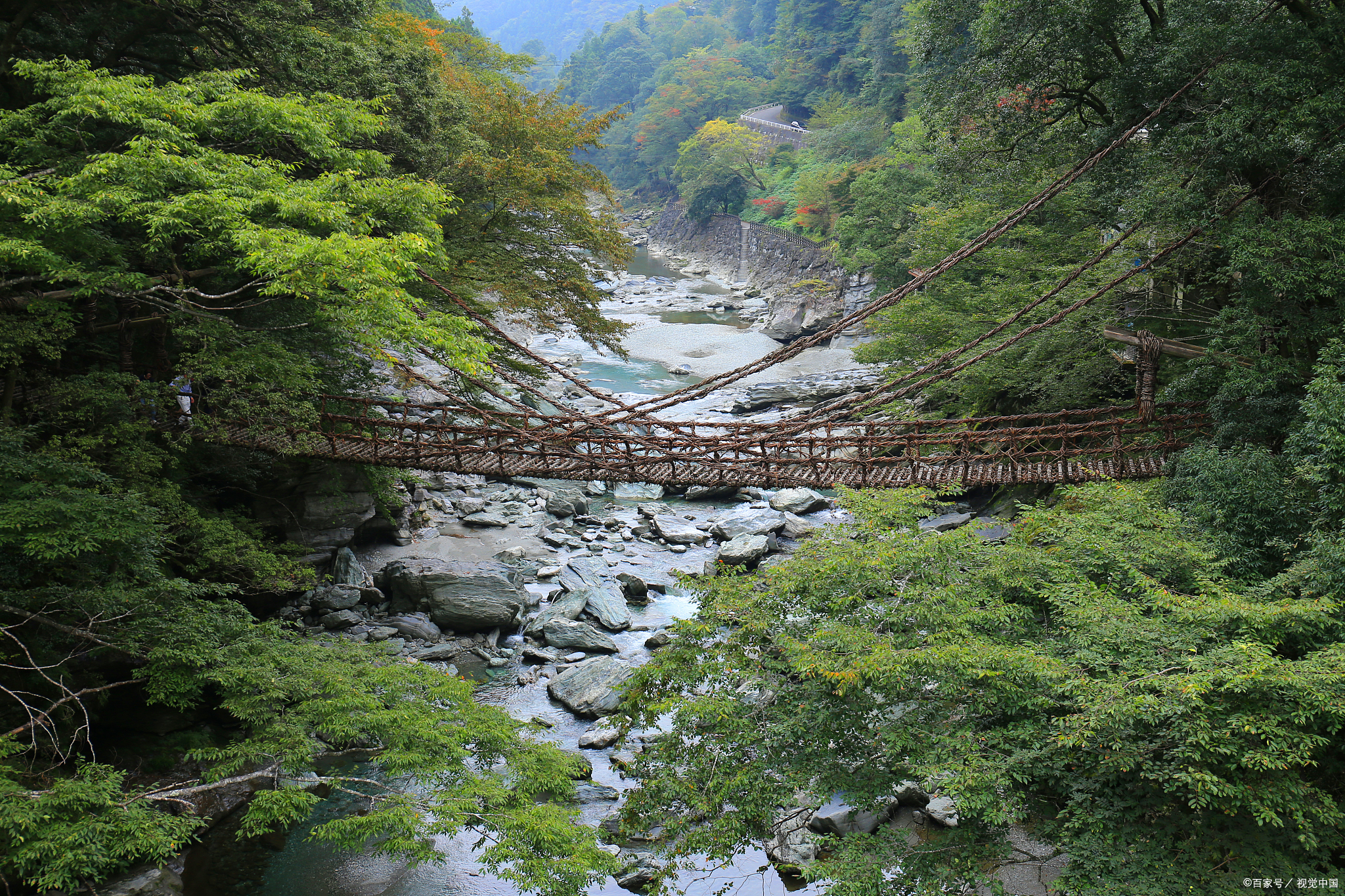 重庆黑山谷景区图片图片