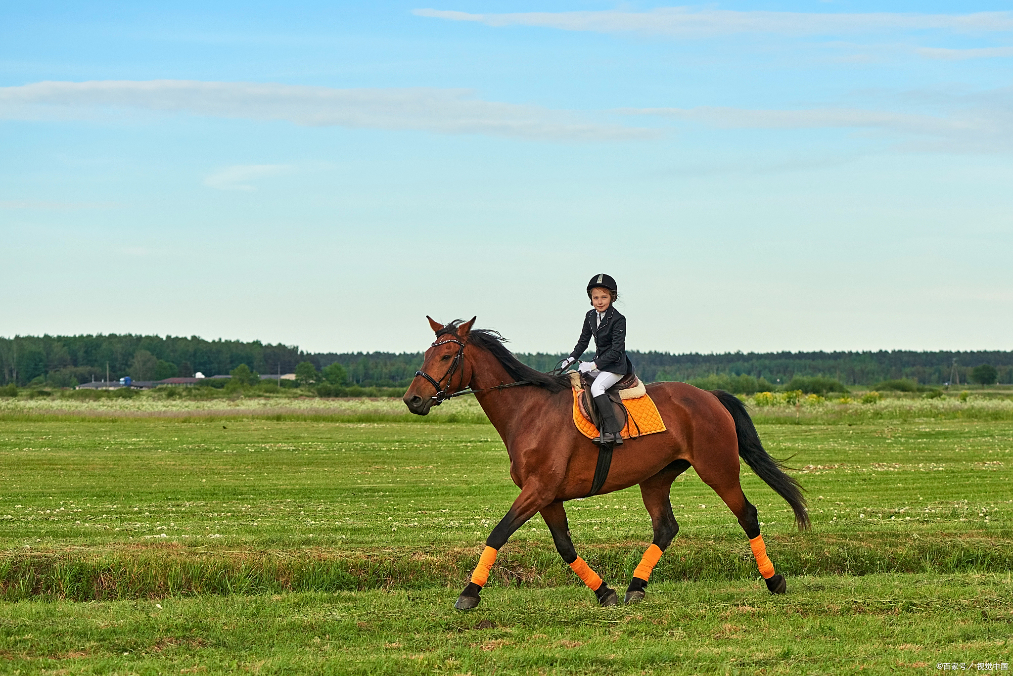 坝上草原怎么玩自然美与文化韵相融的旅行指南