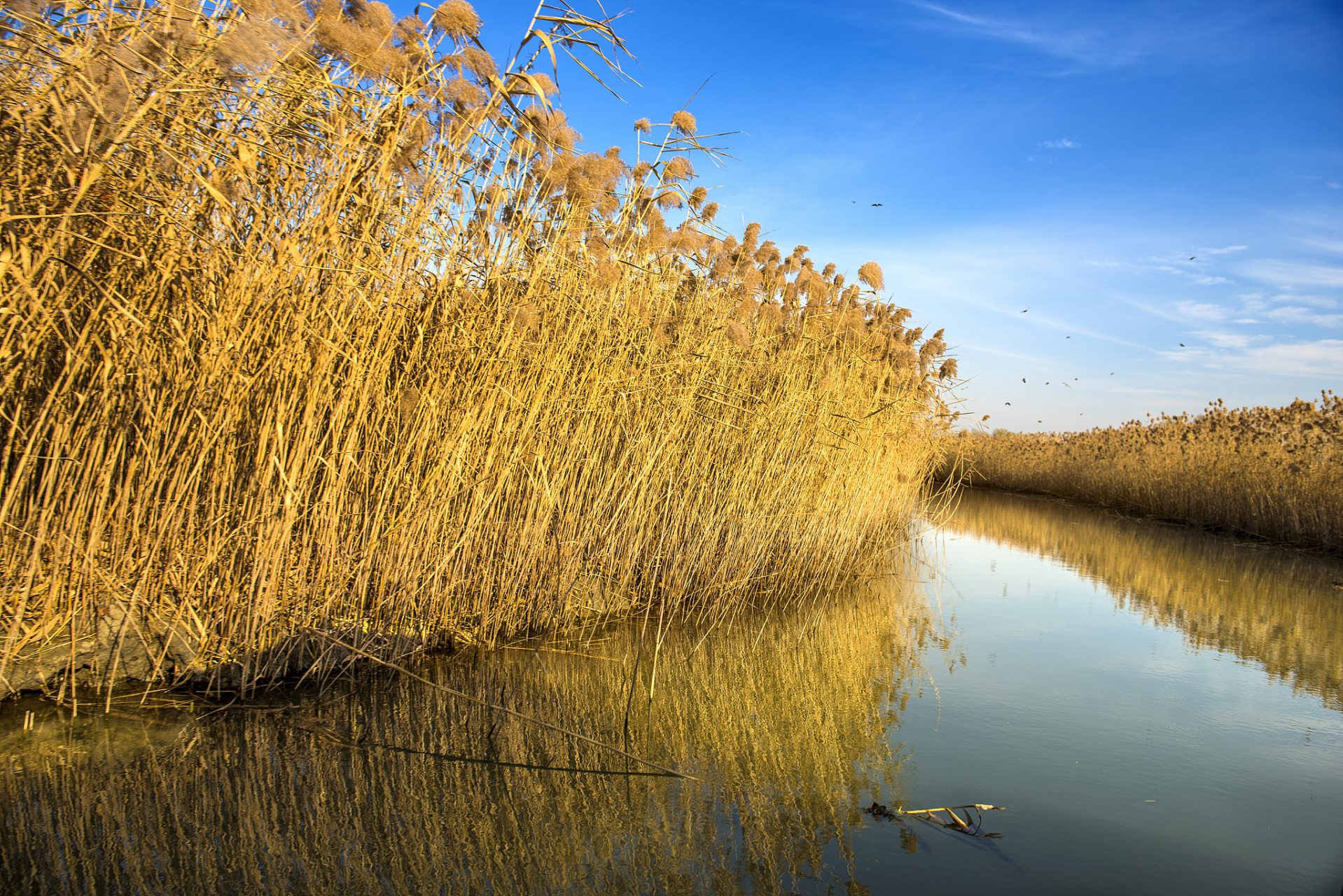 东台西溪旅游文化景区,大丰上海知青纪念馆,盐城海盐