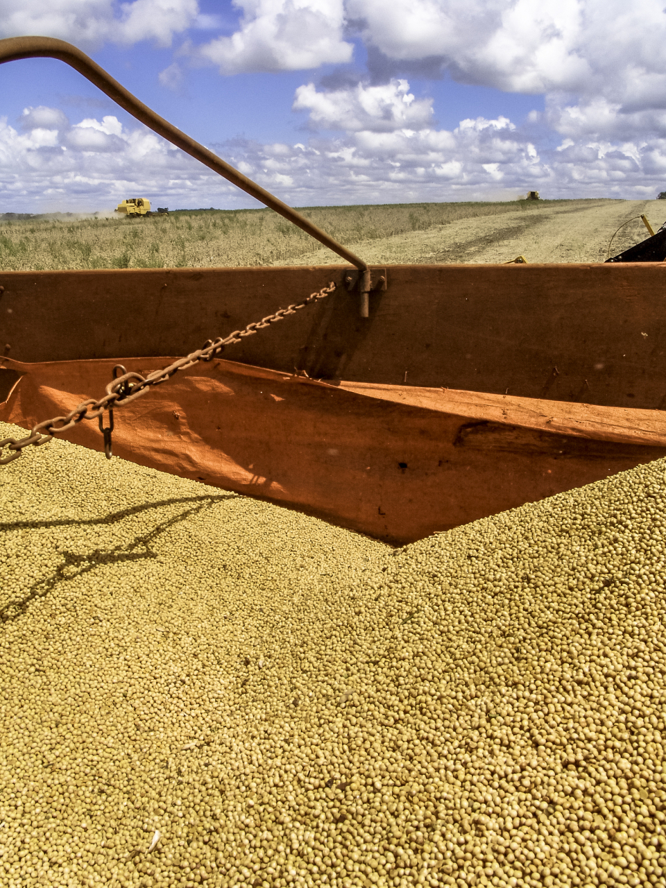 彭博社报道指出,巴西大豆产量的增加导致美国农民失去在全球农业市场