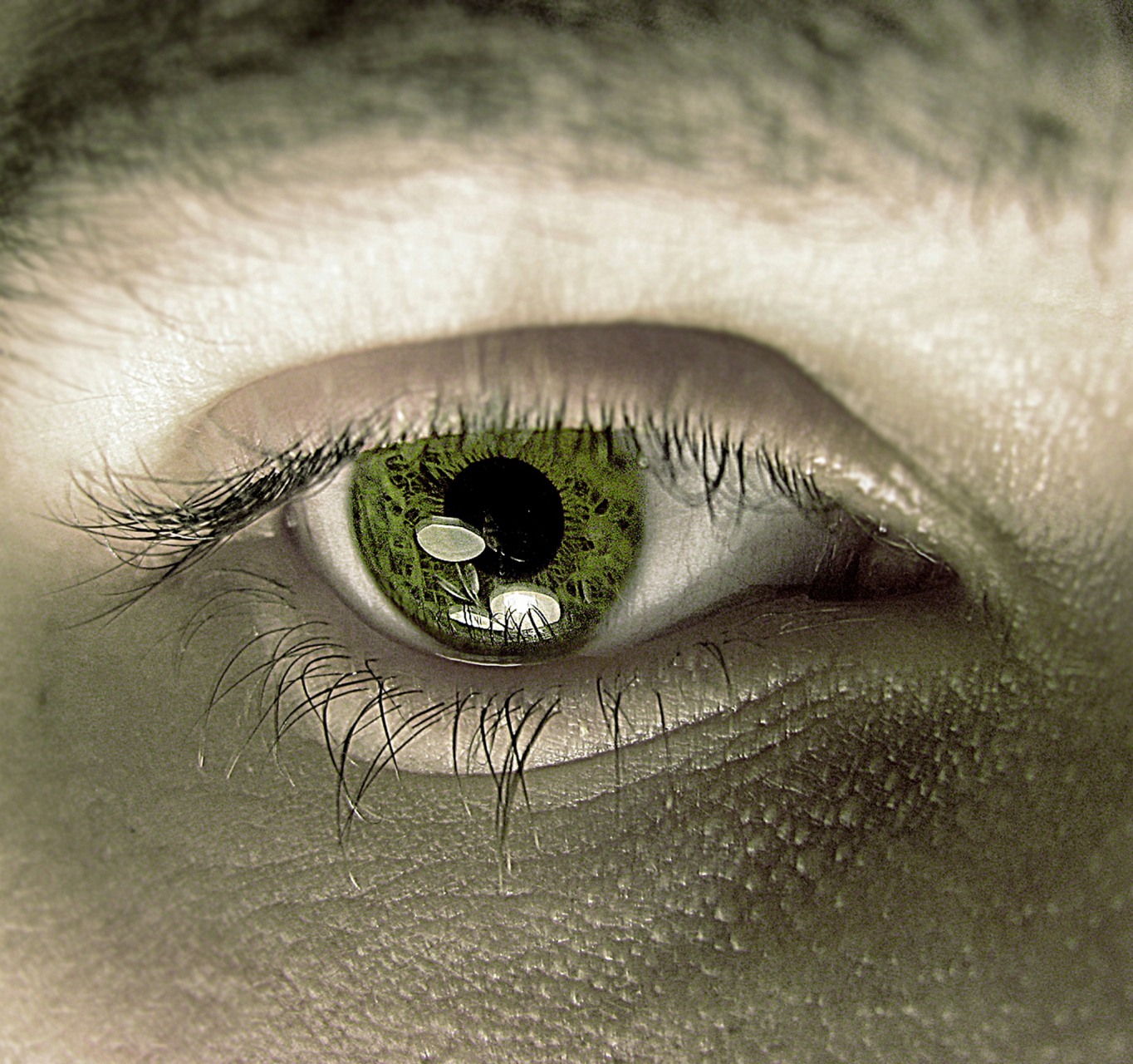 眼睛里的闪光感可能是由多种原因引起的.