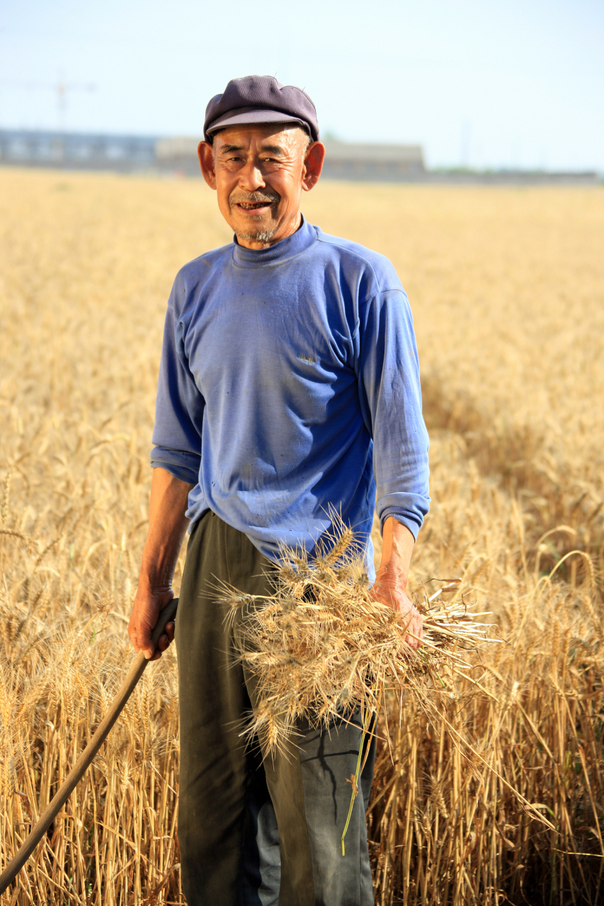 是农民致富的新探索,我们中国农民将会迎来属于他们的农场主时代