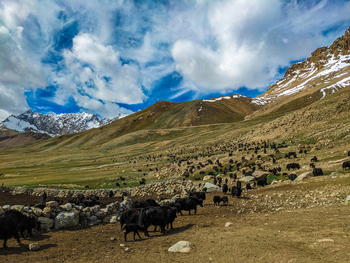不要去包容对你有恶意的人,现在对你不好的人以后