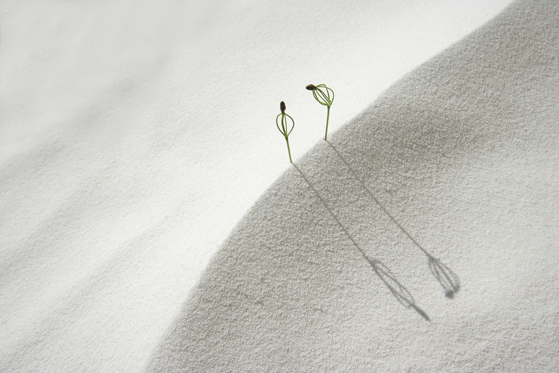 摄影留白是指在照片中有意保留一定的空白区域或空间,不将画面填满或