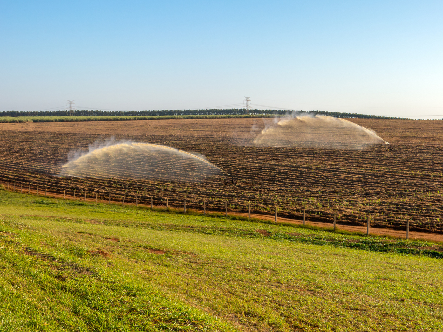 巴西新一季甘蔗产量即将登场,有望创下历史新高!