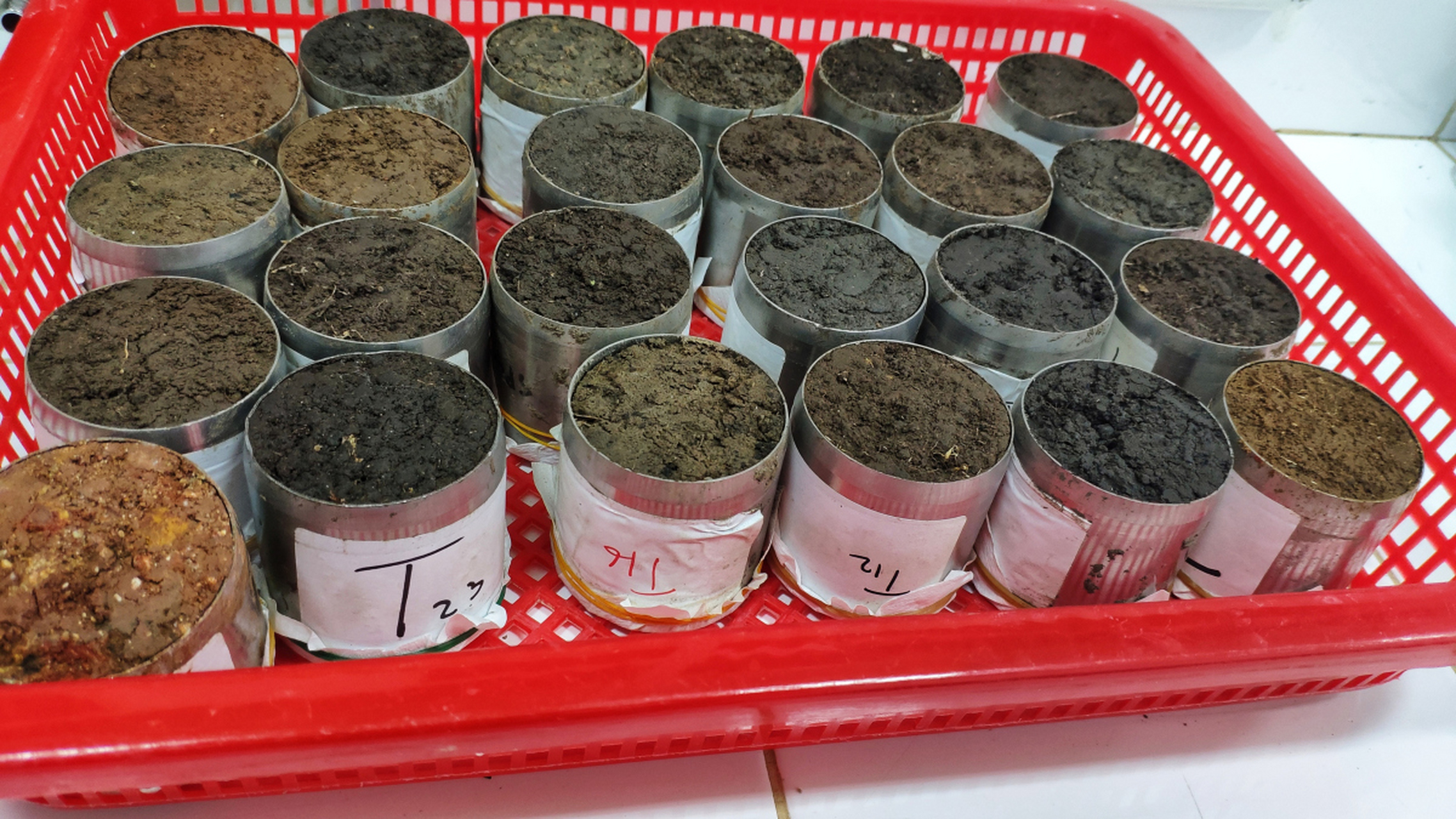 拐枣种子播种方法:准备成熟的拐枣果实,盆或容器,肥沃土壤,水和透明
