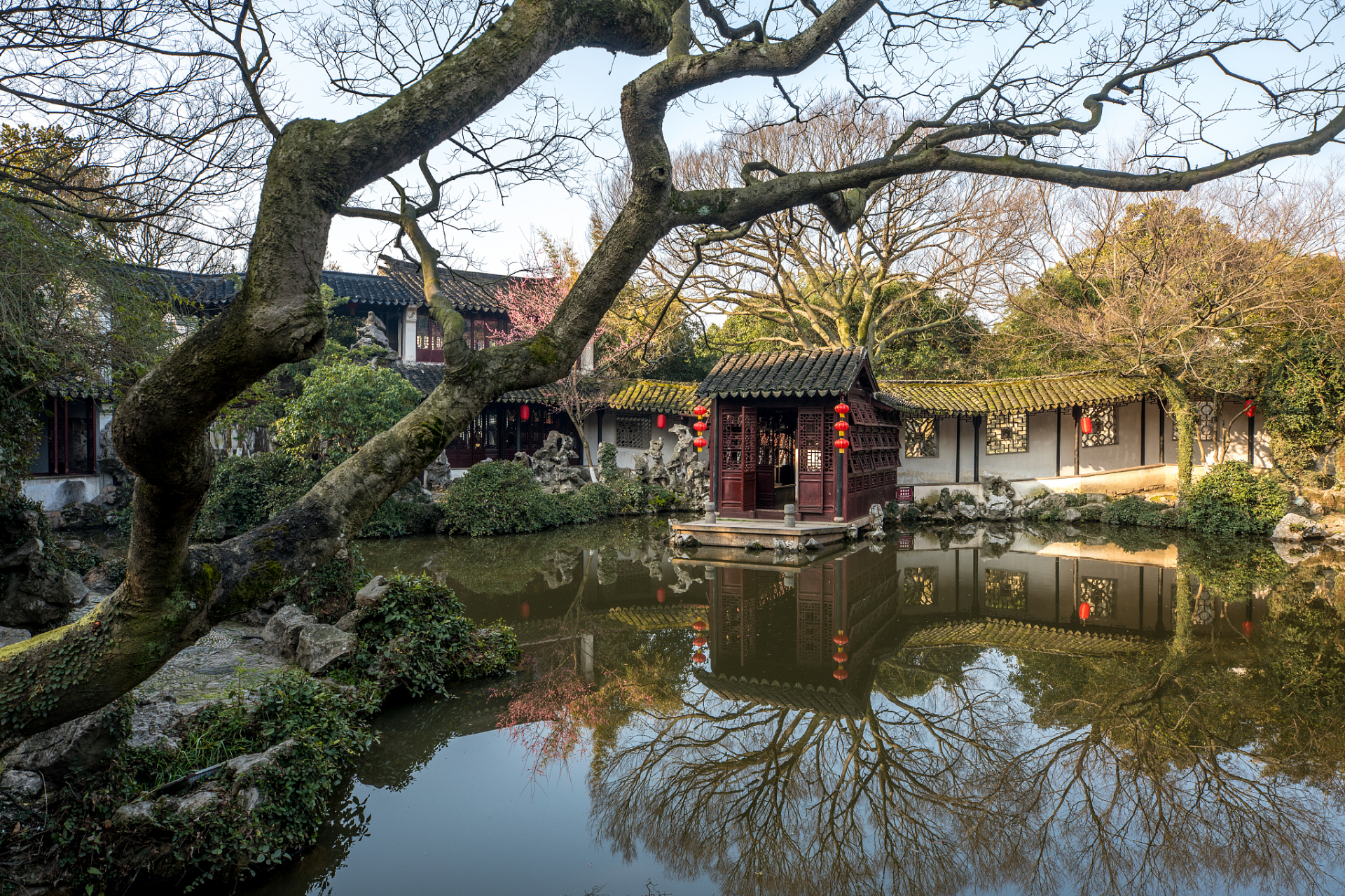 91苏州退思园:穿越古今,寻找静谧之地9215  作为大学生,我们总