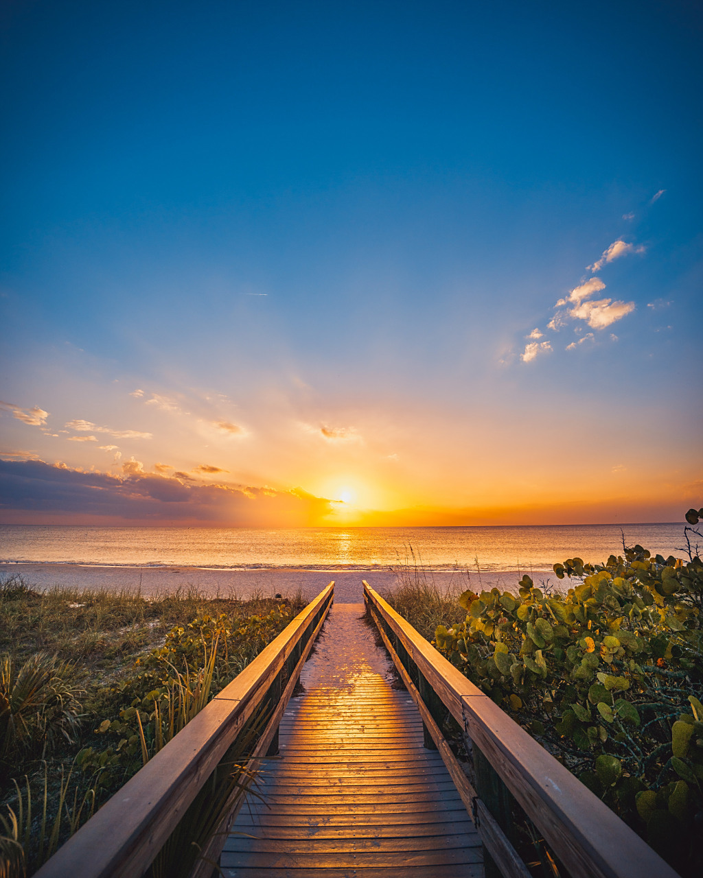 他们说有绿洲, 但绿洲毫无踪影, 绿洲到底在哪里?