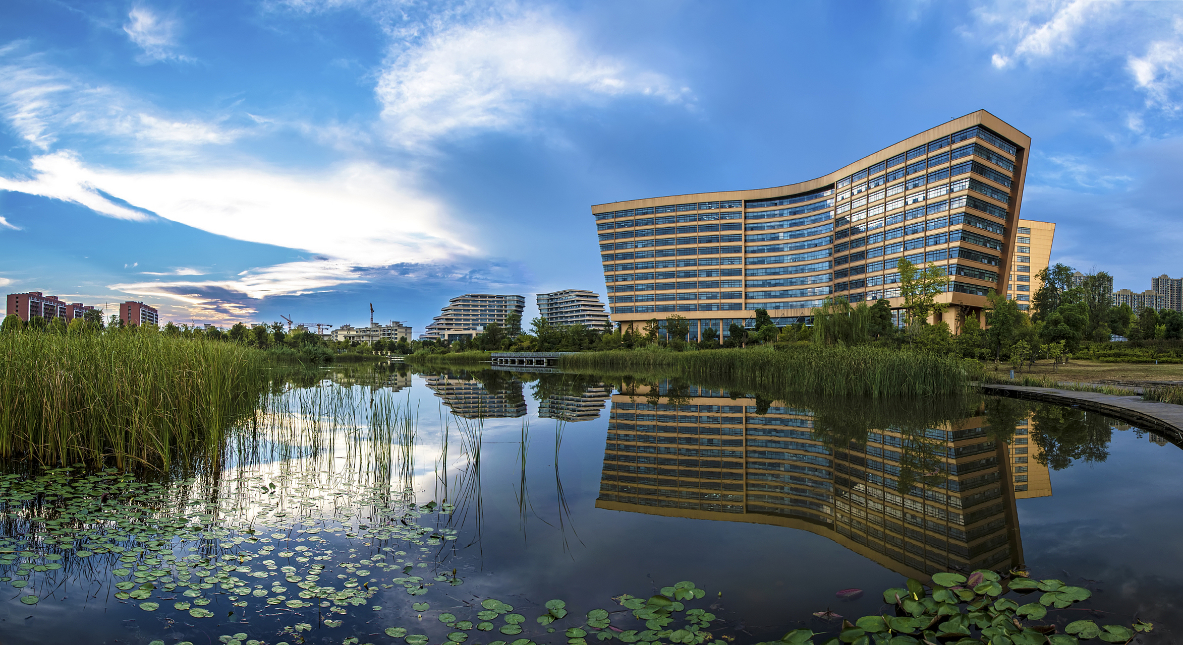 [原文:安徽大学最强专业有哪些]