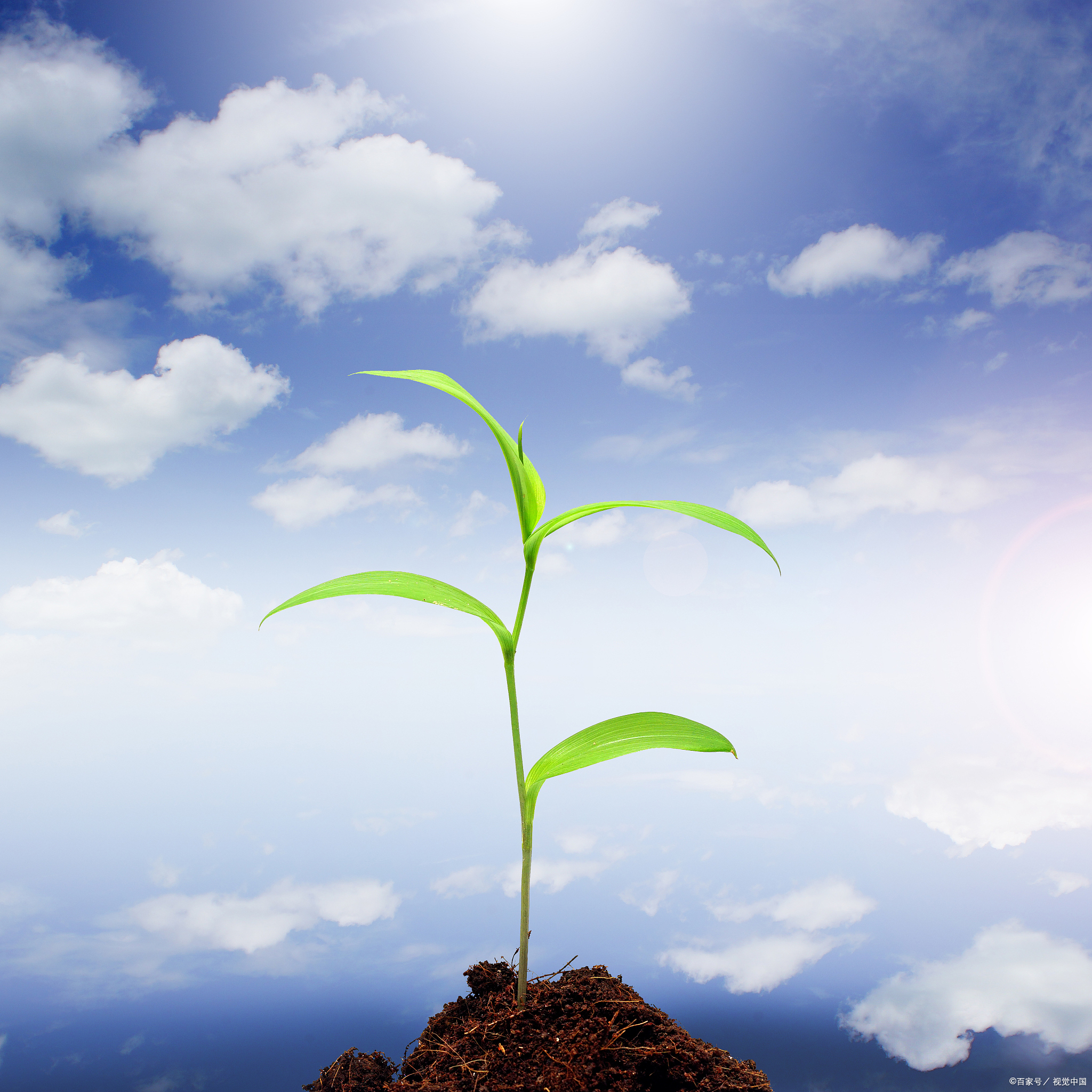 父母的情感支持能够让孩子感受到被爱和被关注,从而