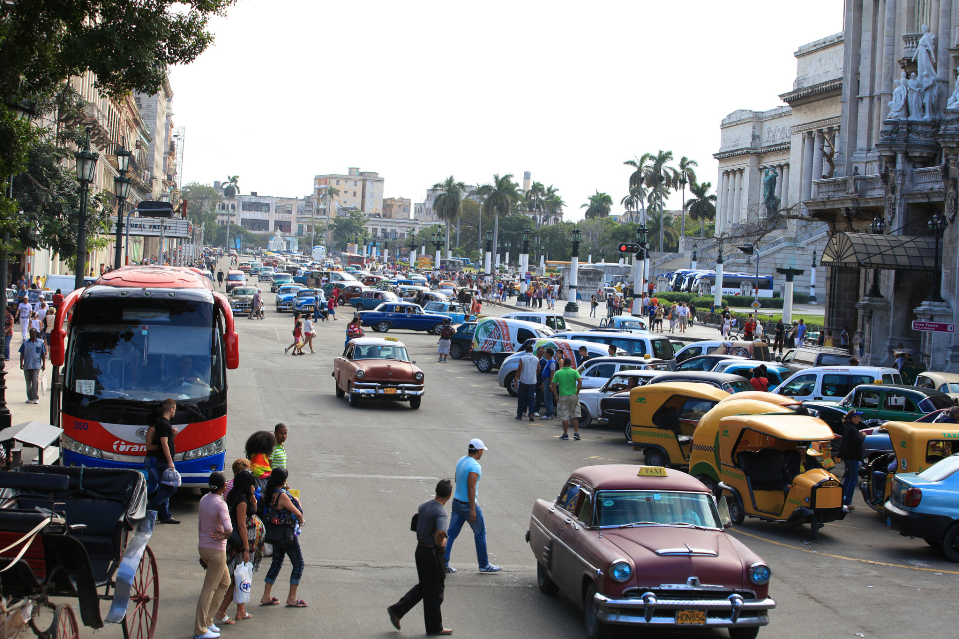 科威特处决男子在2015年清真寺自杀式爆炸事件中的角色 科威特周四
