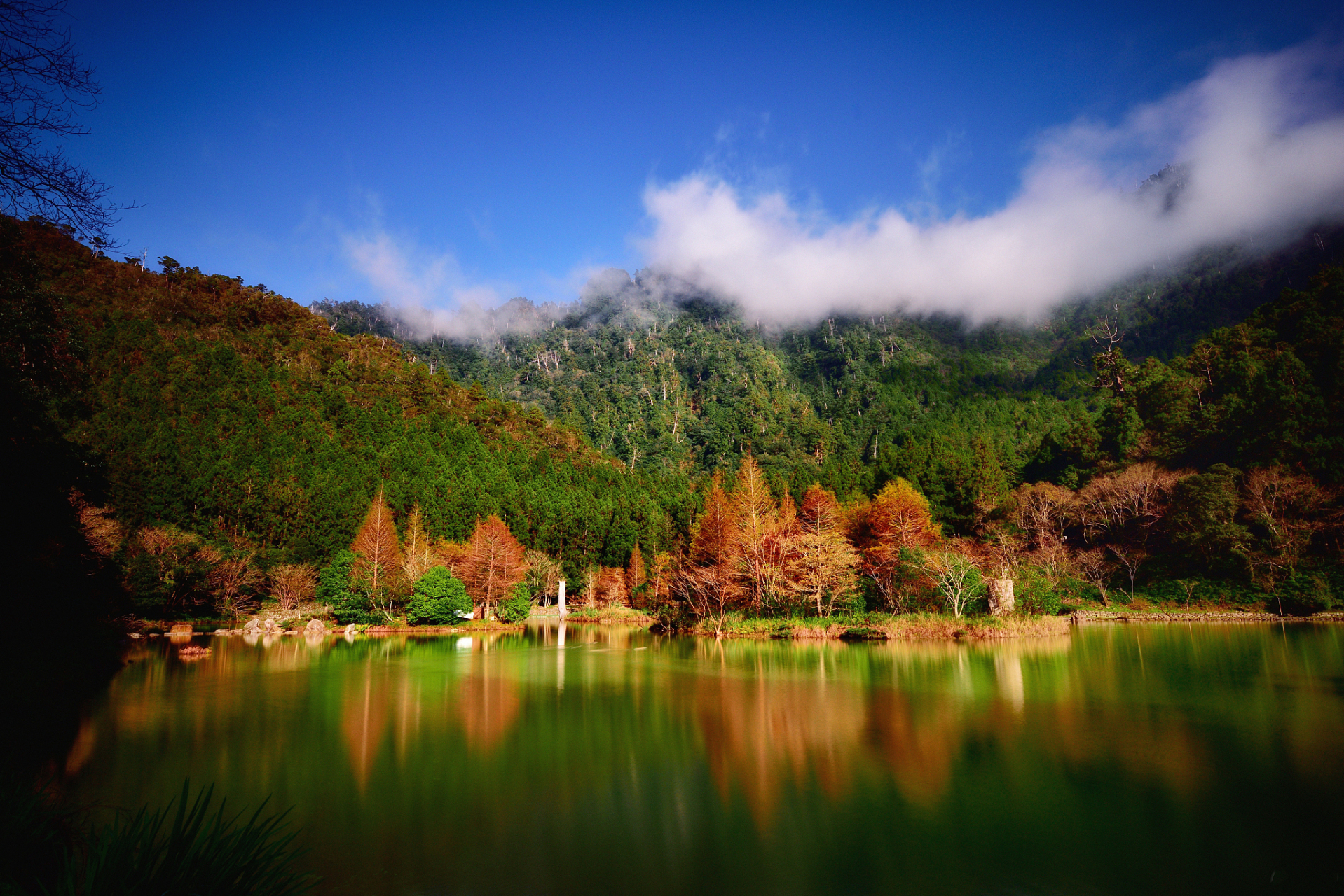藏语米亚罗,译为好玩的坝子,米亚罗风景区是四川省最大的红叶风景区