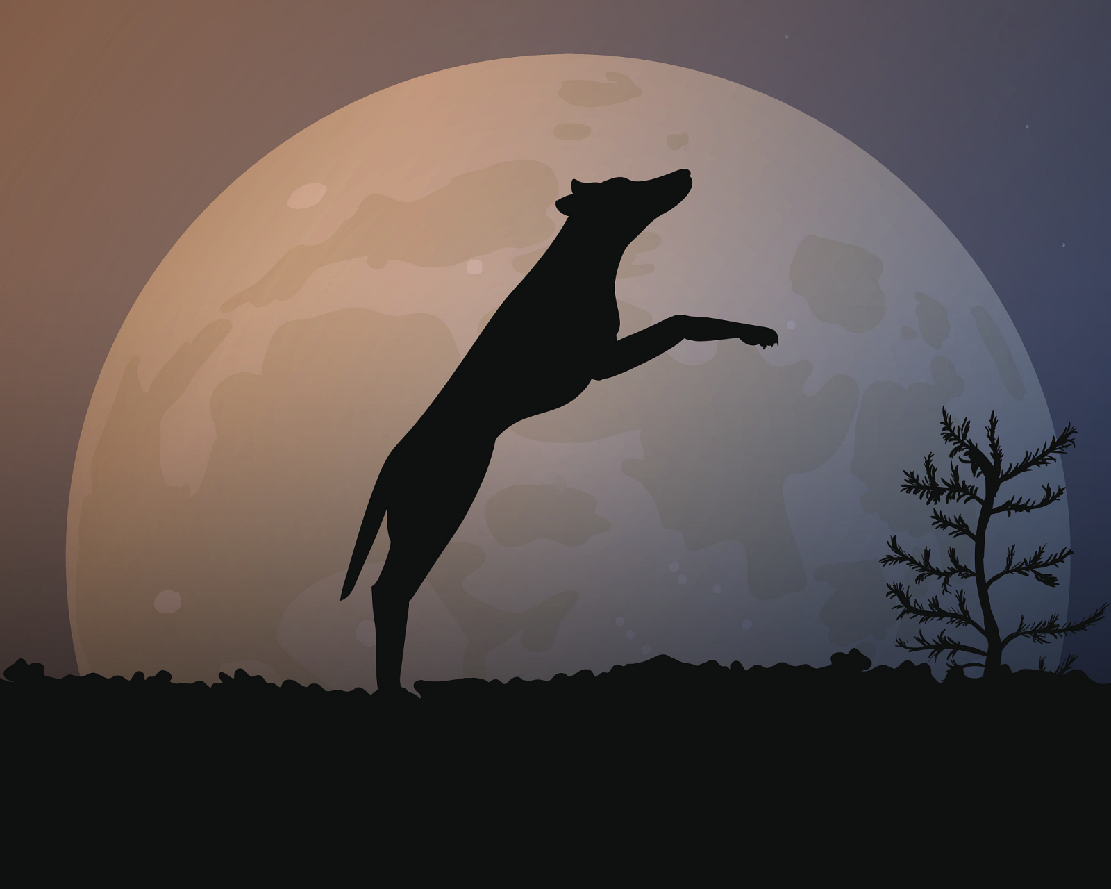 今年首场天狗吃月亮将登场