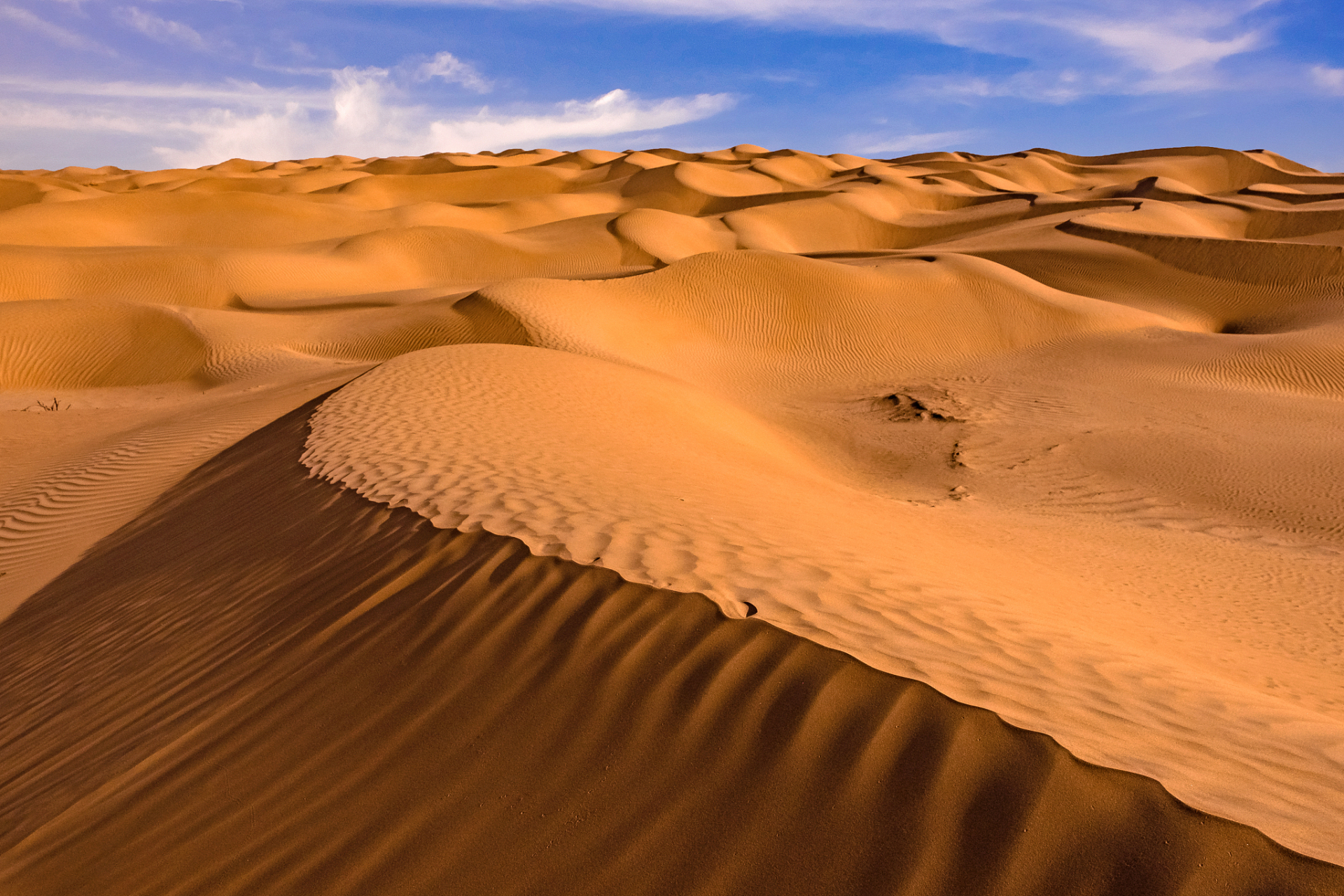 每一处景色都值得我们去欣赏和探索】  新疆是我国陆地面积最大的省份