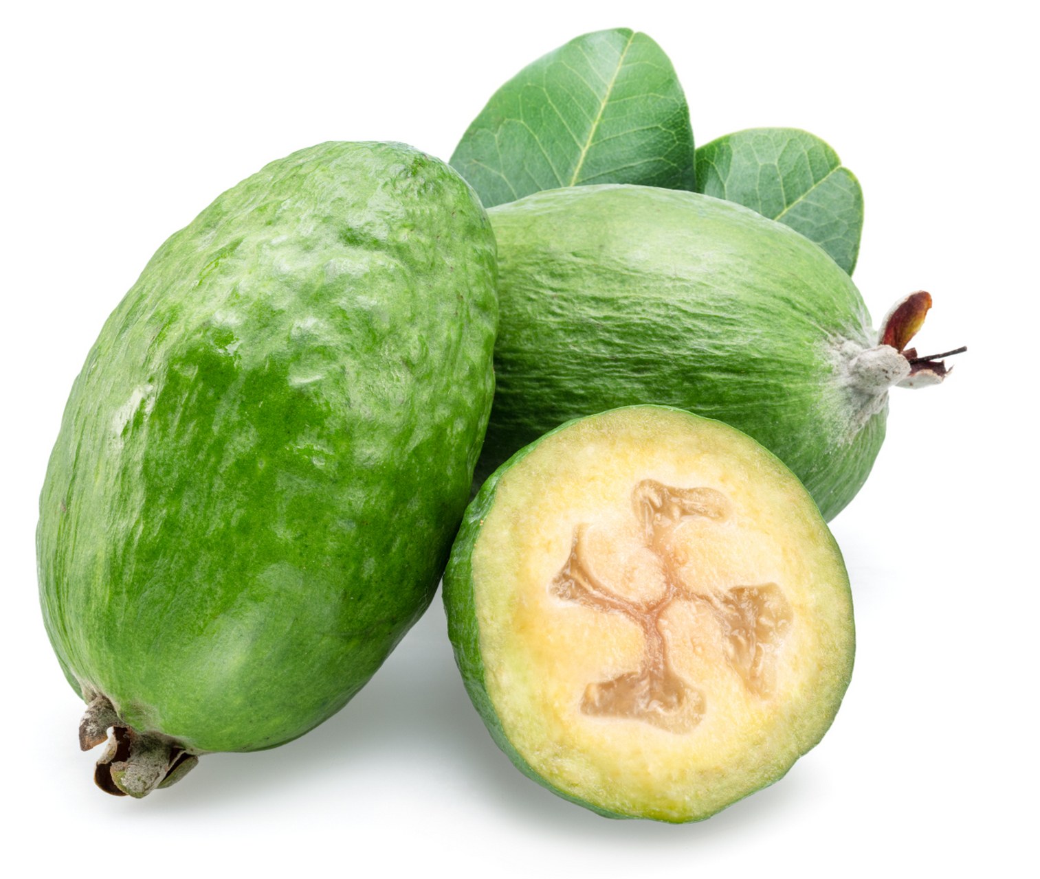 在中国南方的广东省新丰县,有一种独特的瓜类蔬菜,它叫做佛手瓜.