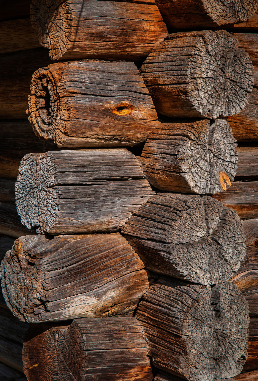 "  木匠笑着说:"朽木不可雕,可是我正好需要一块木头来修补我家的木桌