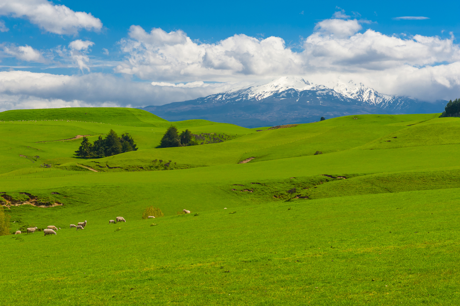 奇遇那拉提#新疆那拉提草甸草原位于新疆的阿勒泰地区,这里草原广阔