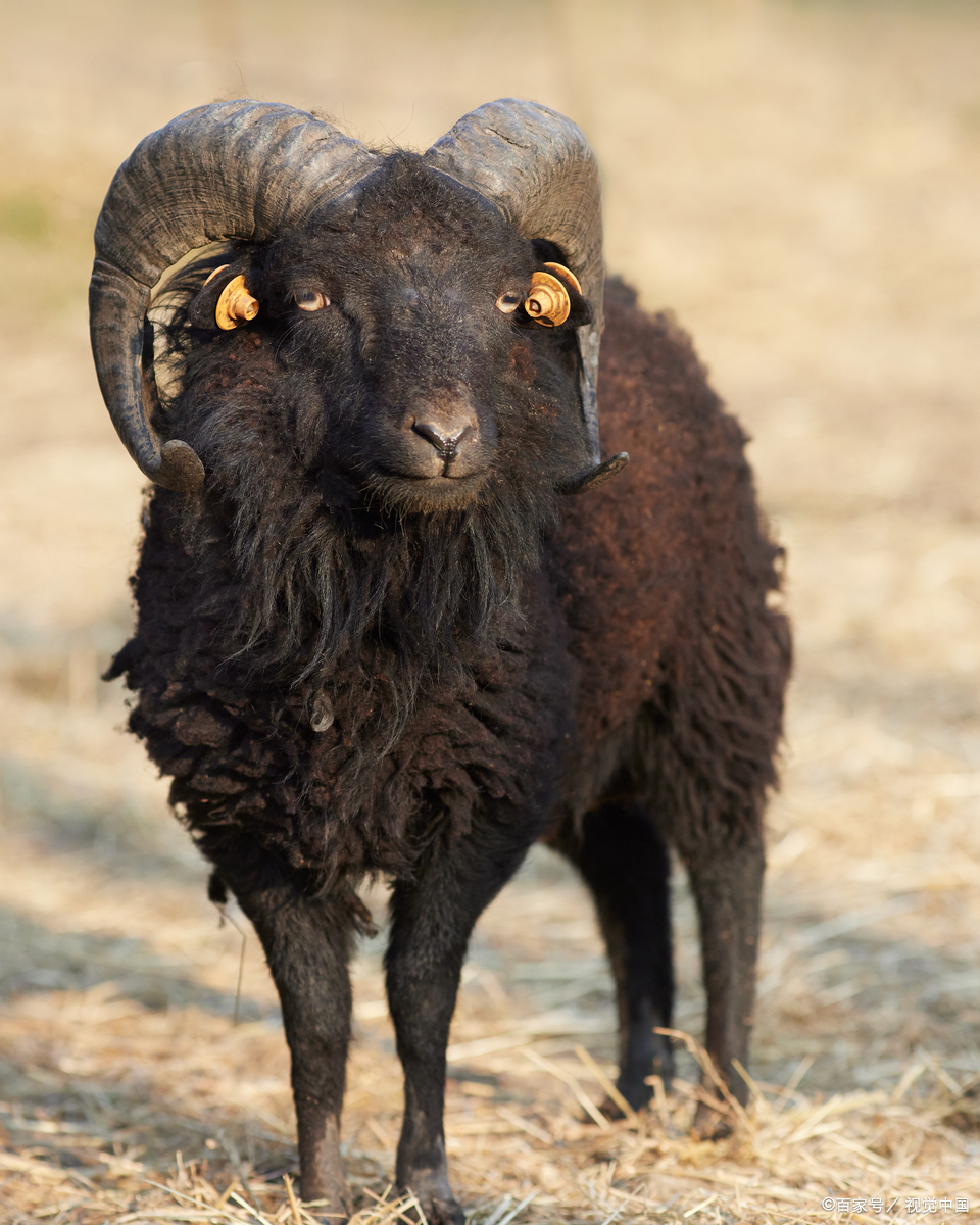 学会知足,不仅能让生活更轻松,还能赢得更多人际关系