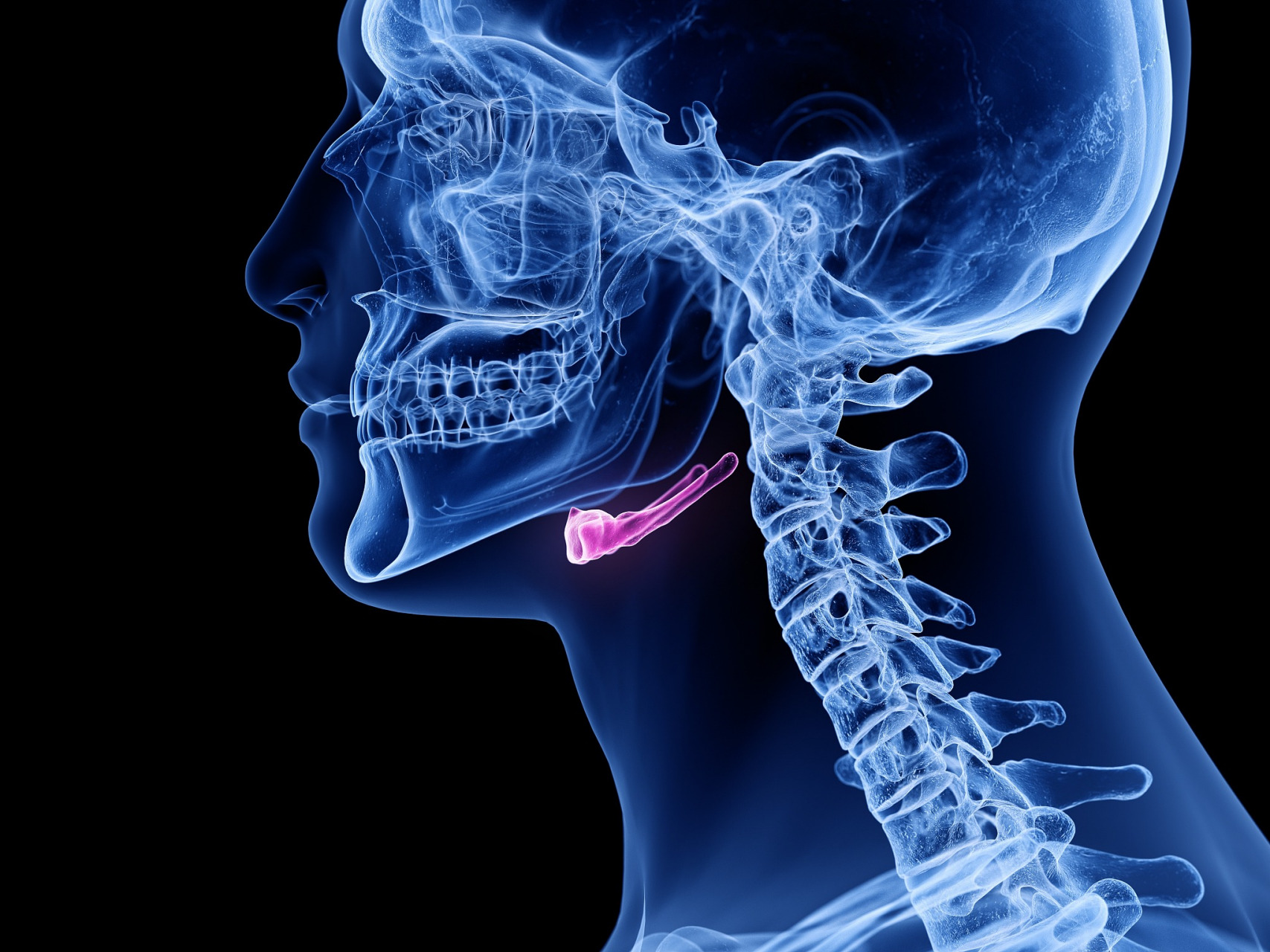 舌骨囊肿最佳的手术时间是什么时候?