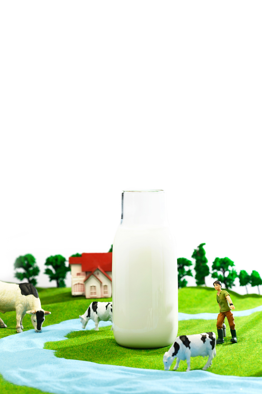 首先,在奶源方面,巴氏奶主要采用新鲜牛奶为原料,在