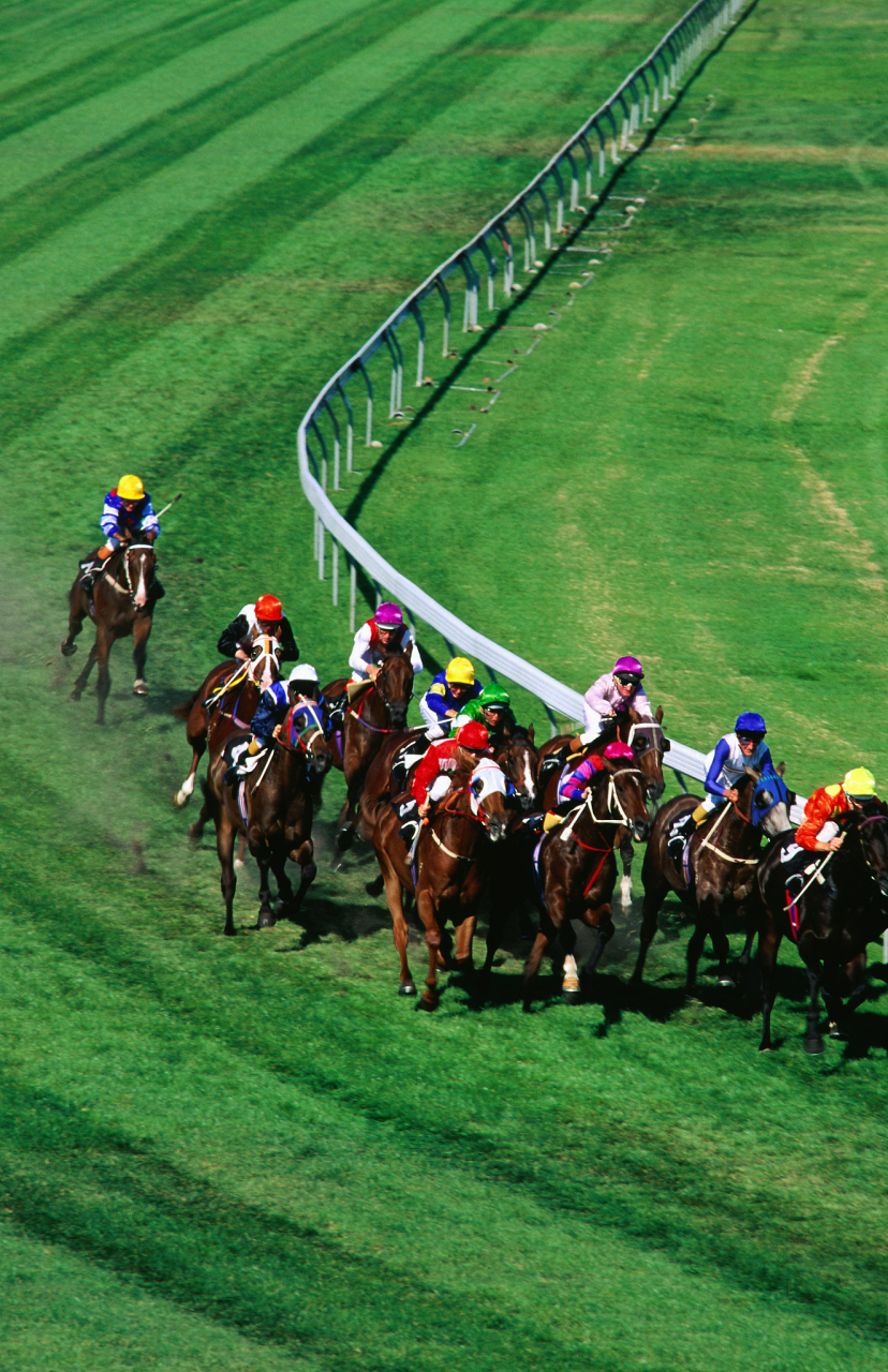 奇遇那拉提#新疆那拉提国际赛马场是中国马术界的一大盛事,每年吸引