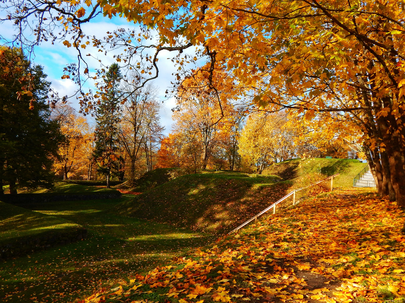 秋季,少了强烈的阳光紫外线,少了各种病菌的感染刺激,白癜风病情也会